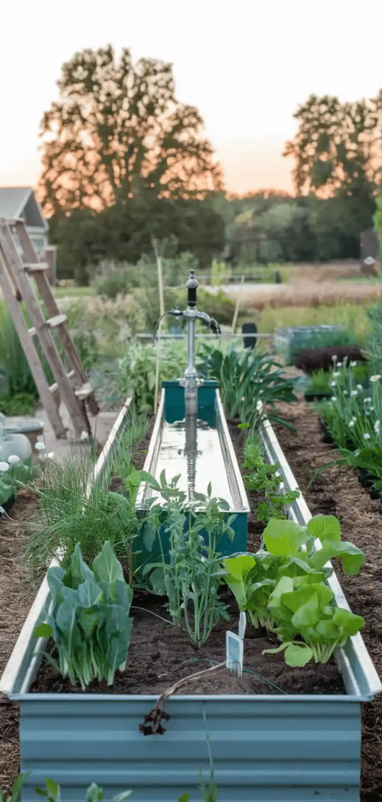 DIY Self-Watering Planters