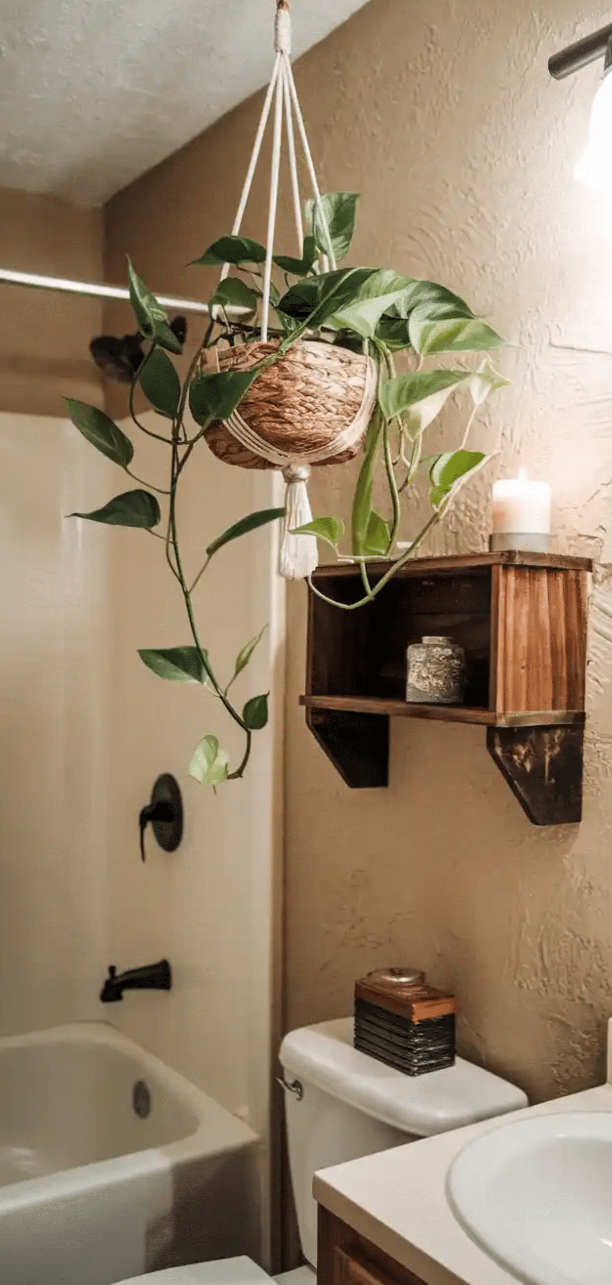 Pothos