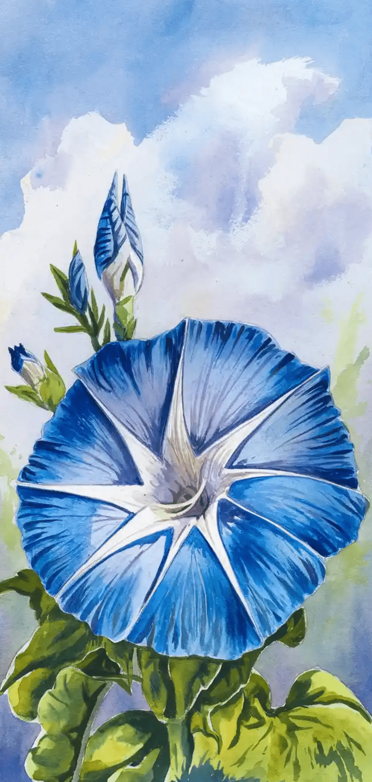 Step-By-Step Watercolor Flowers Tutorials for Beginners