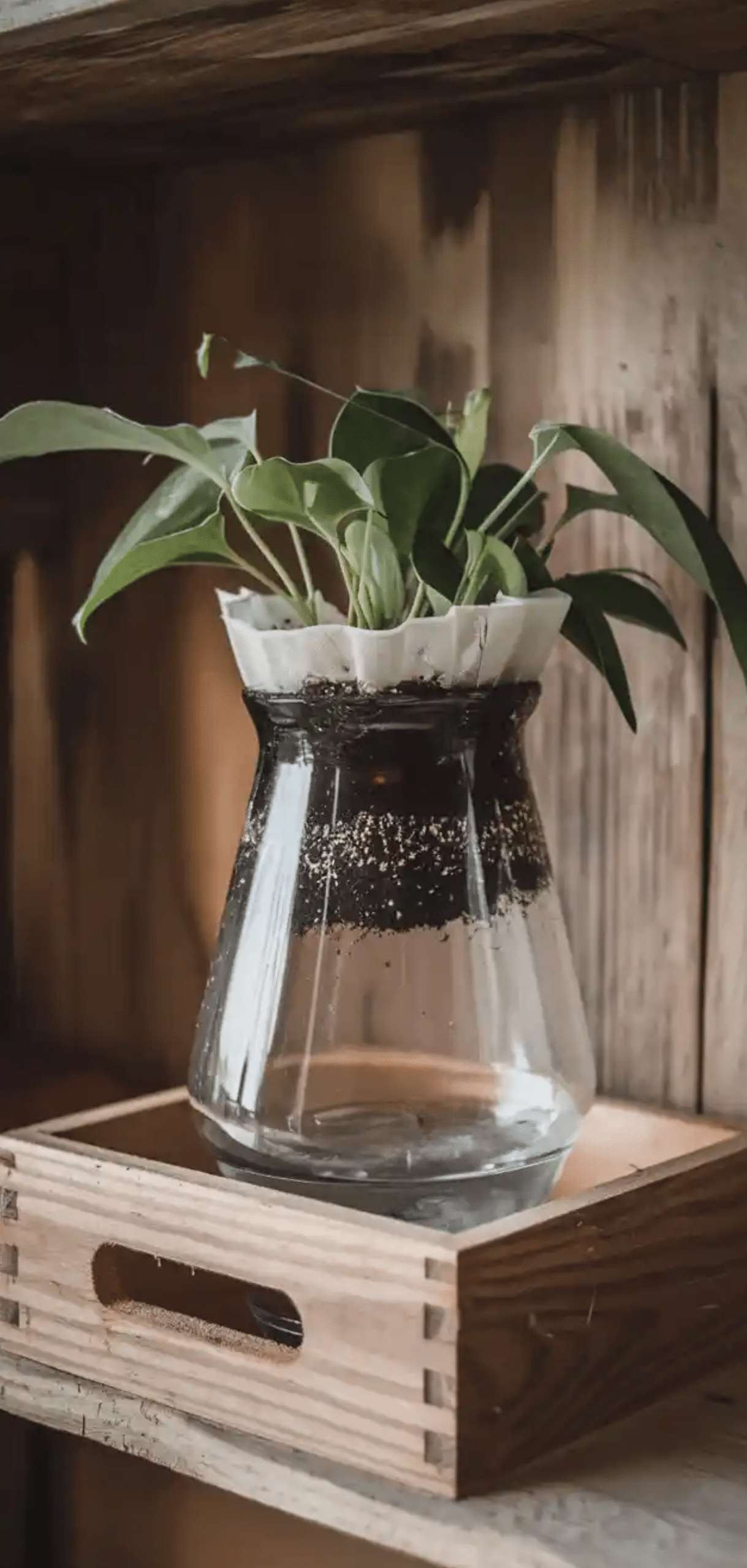 DIY Self-Watering Planters