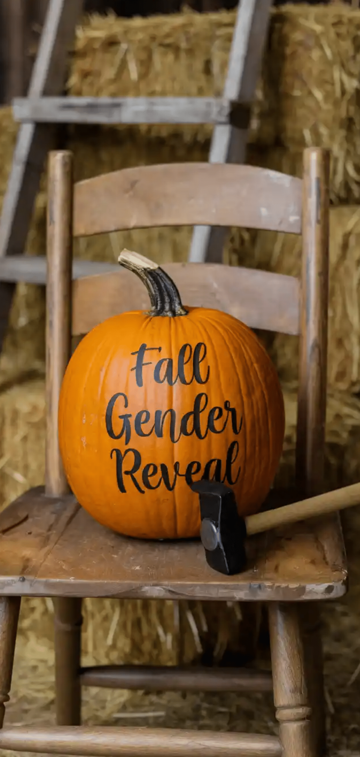 Fall Gender Reveal Ideas