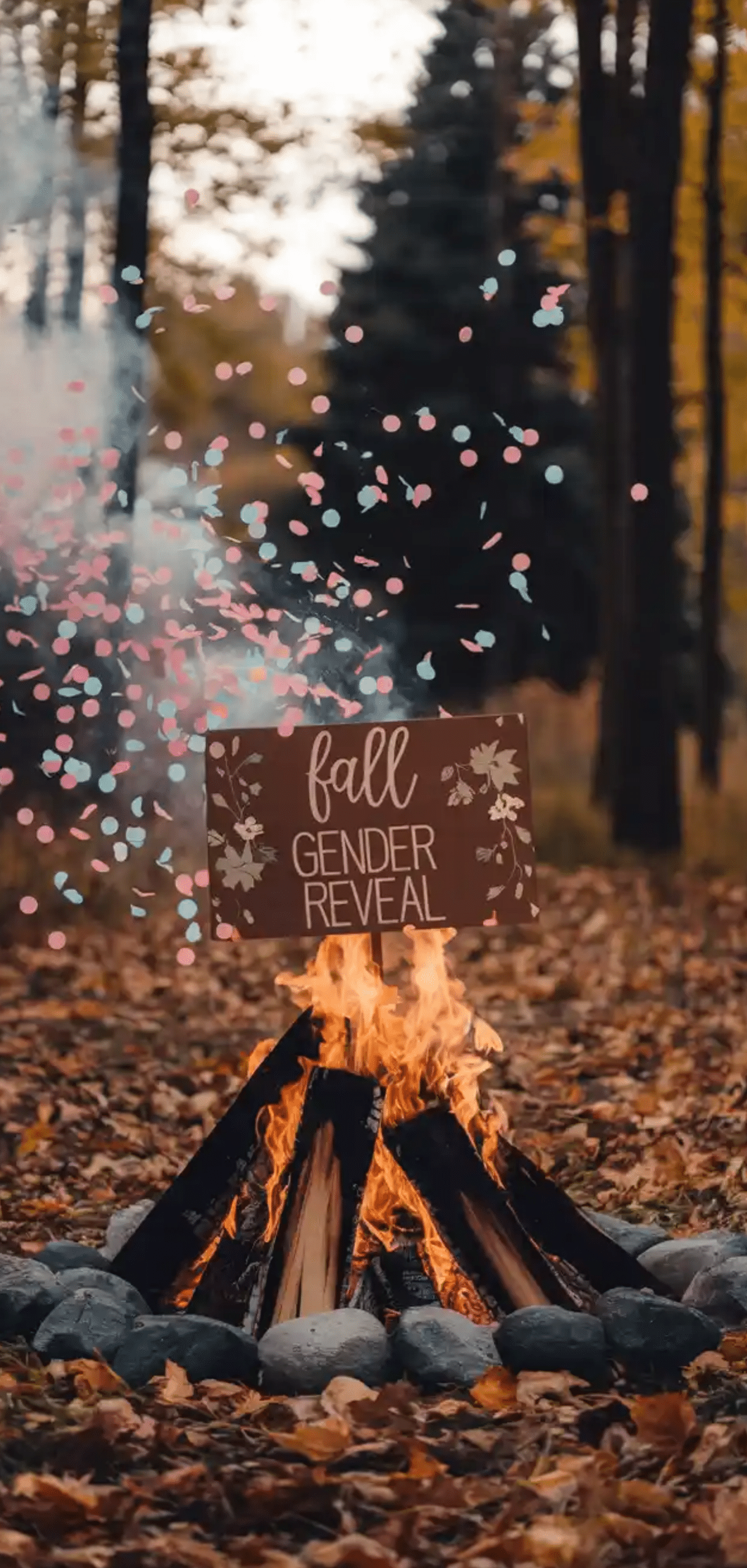 Fall Gender Reveal Ideas