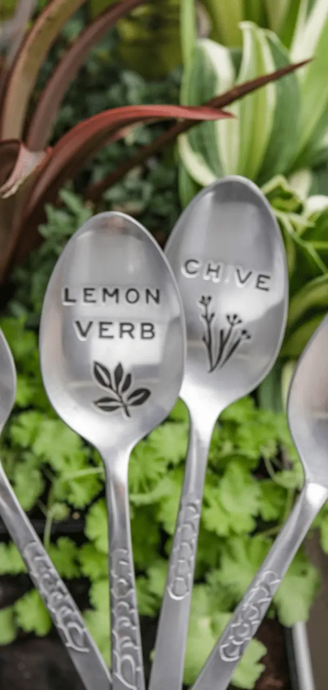 Old Silverware