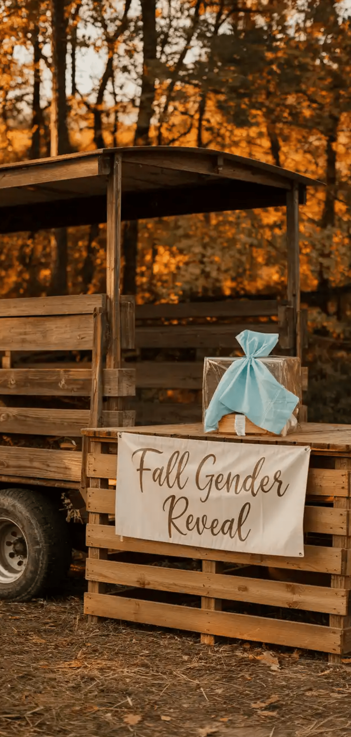 Fall Gender Reveal Ideas