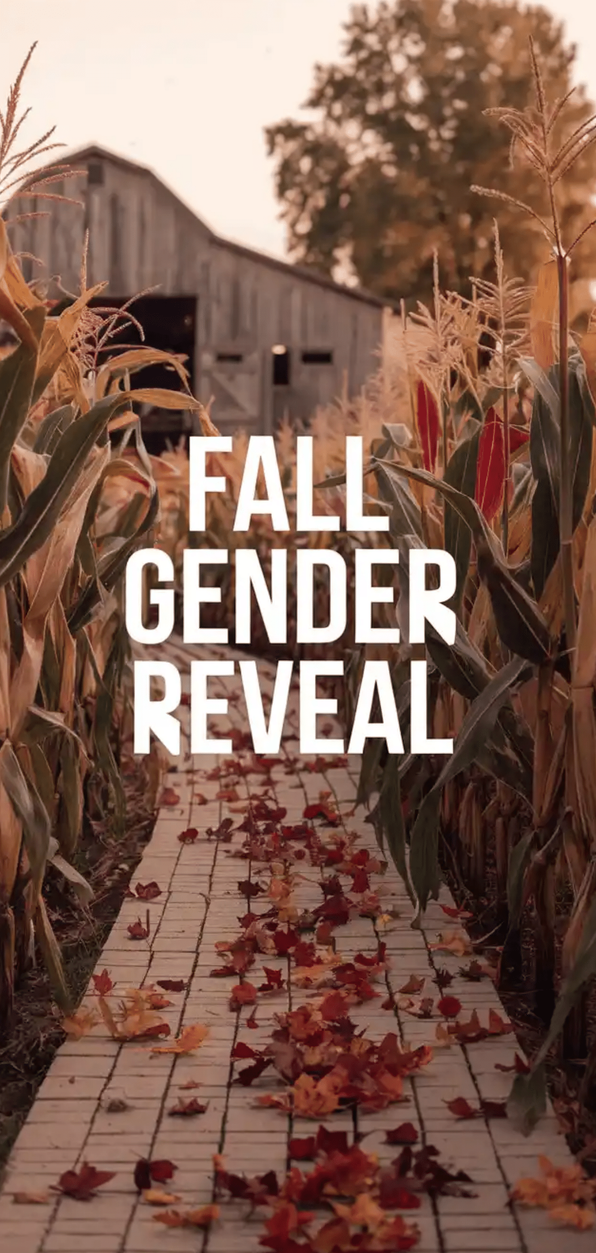 Fall Gender Reveal Ideas