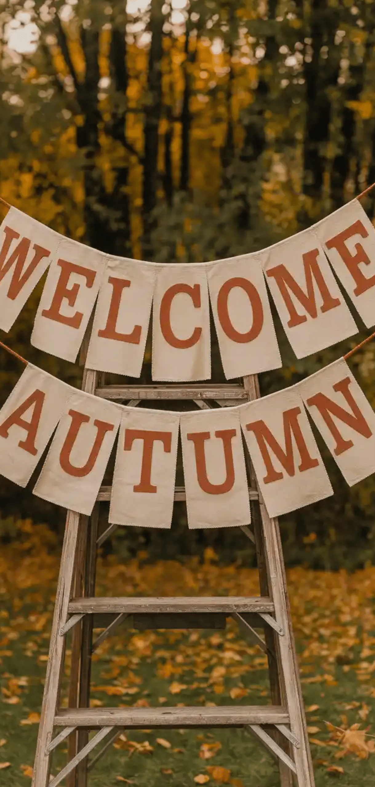 Fall Sewing Projects for Beginners You Have to Try