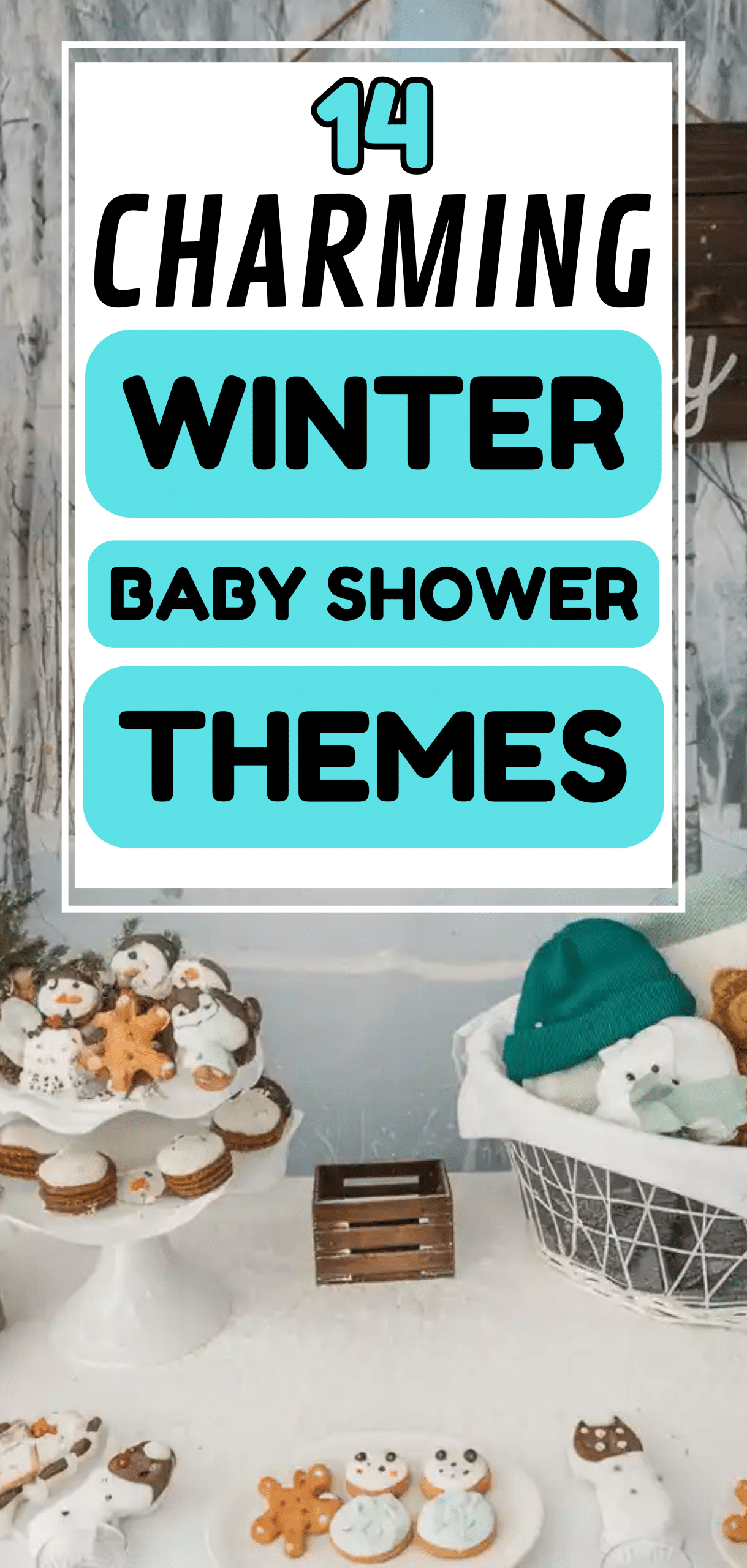 Winter Baby Shower Themes