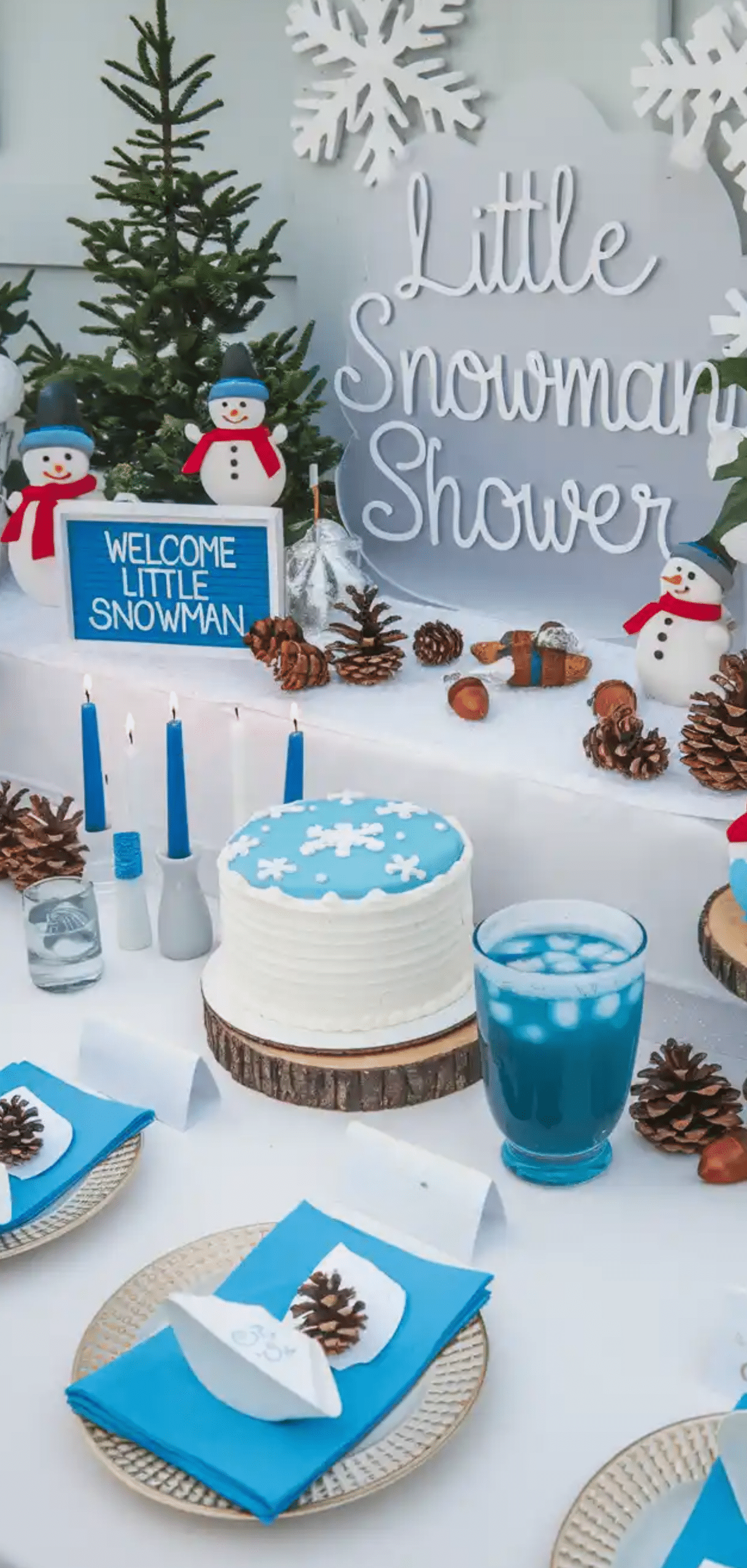 Winter Baby Shower Themes