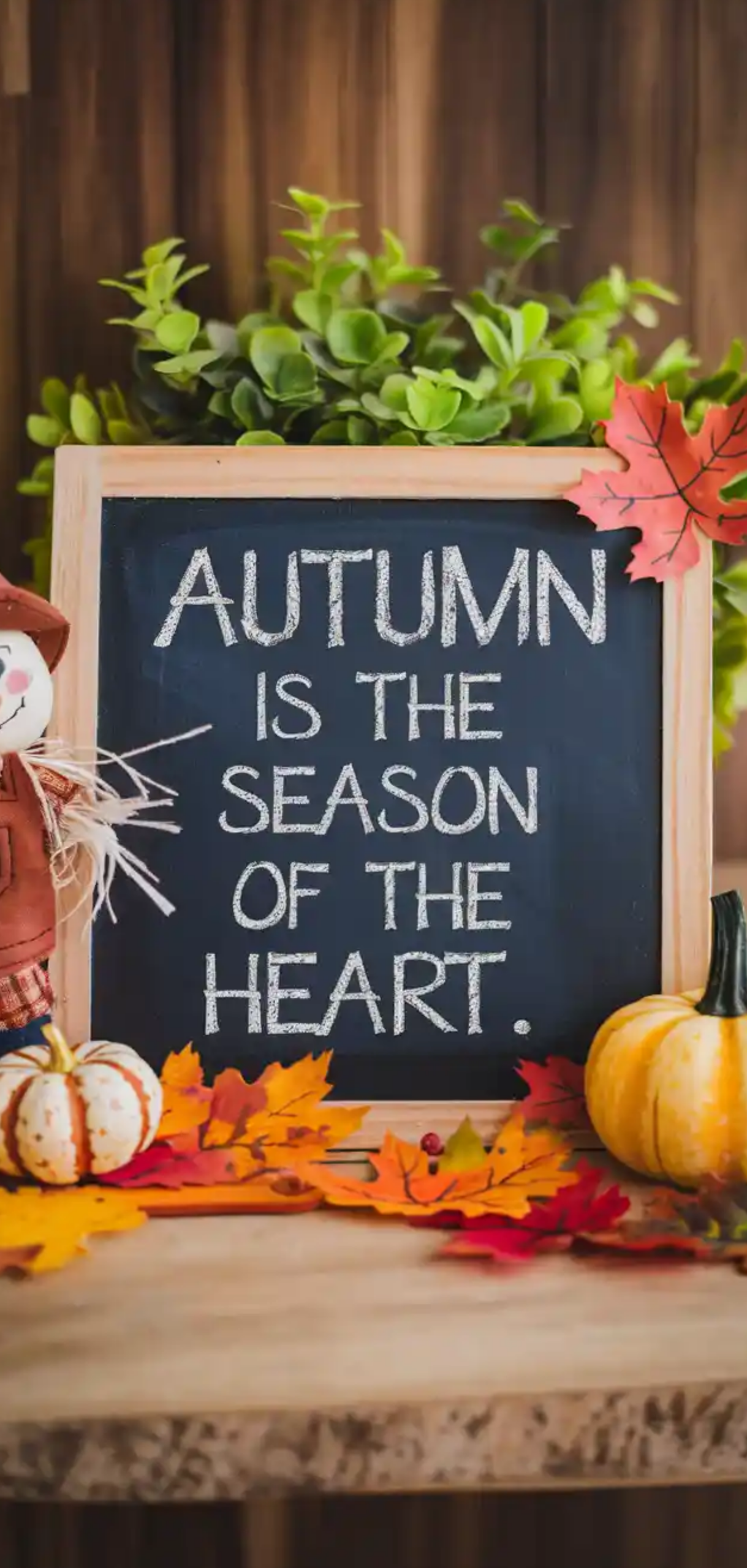 Fall Office Decor Ideas for Your Desk at Work