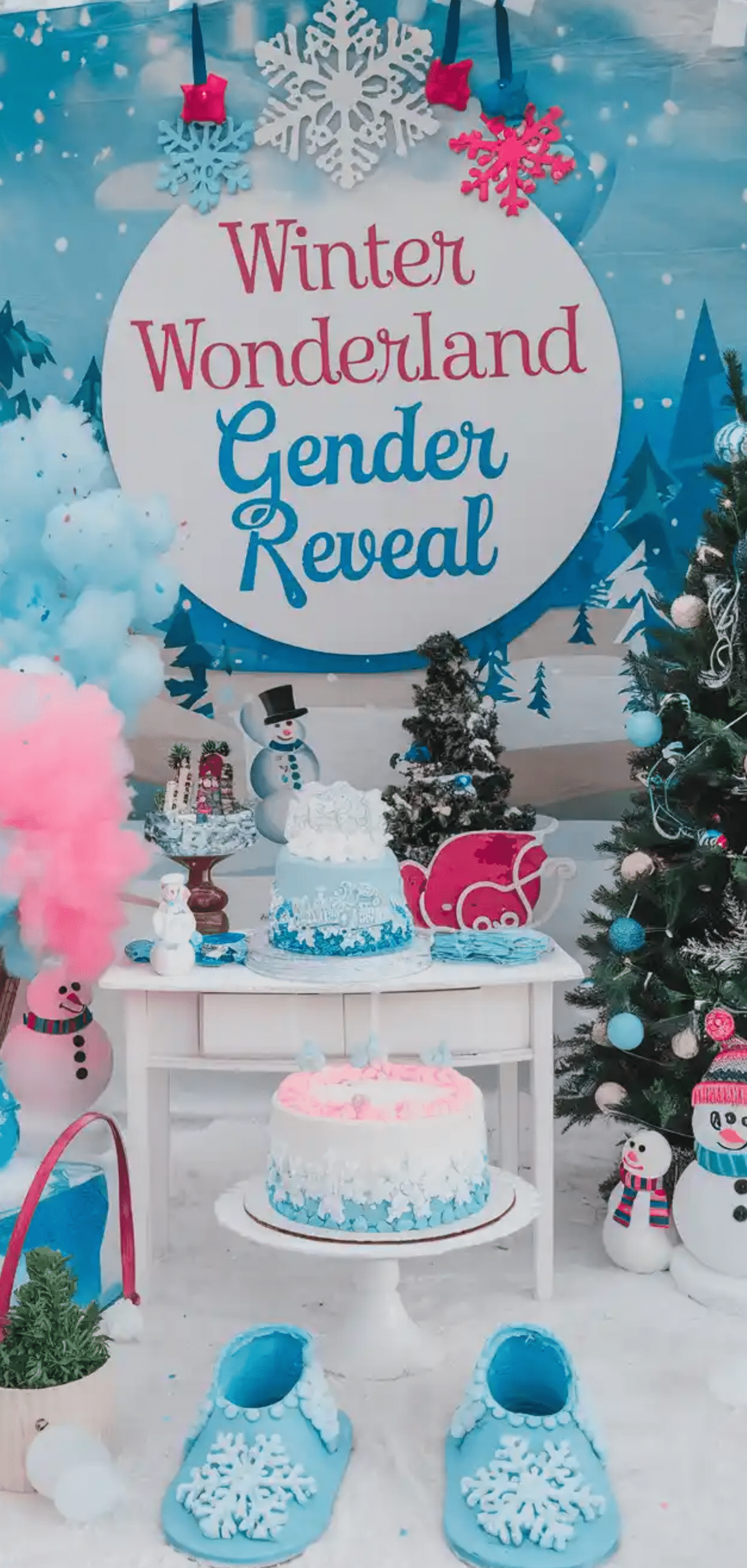 Winter Baby Shower Themes
