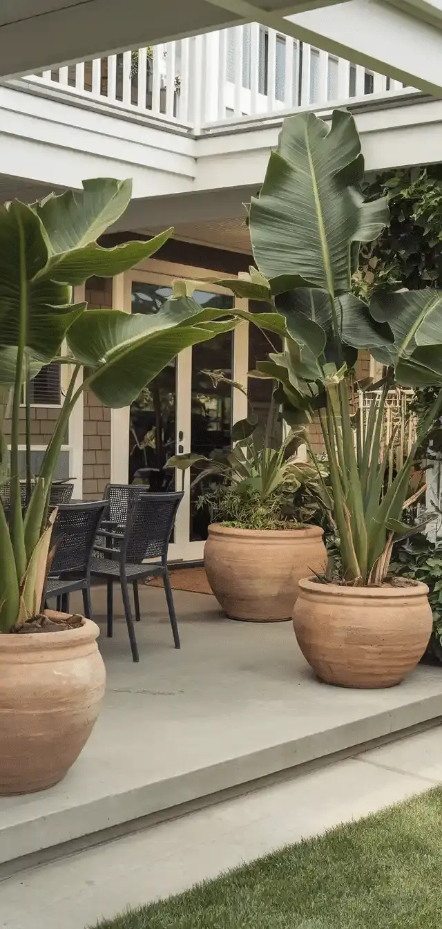 Patio Shade Ideas