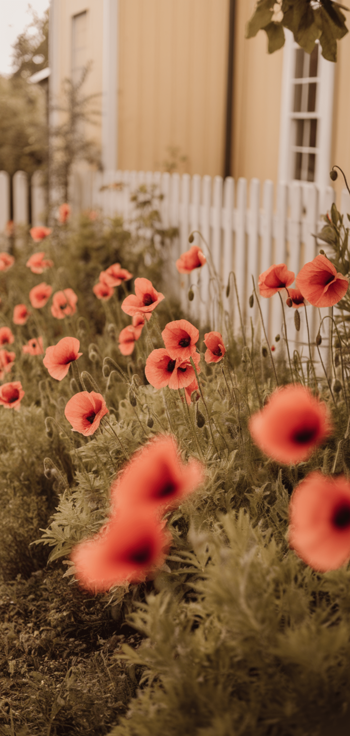 Easy Cottage Garden Flowers Ideas