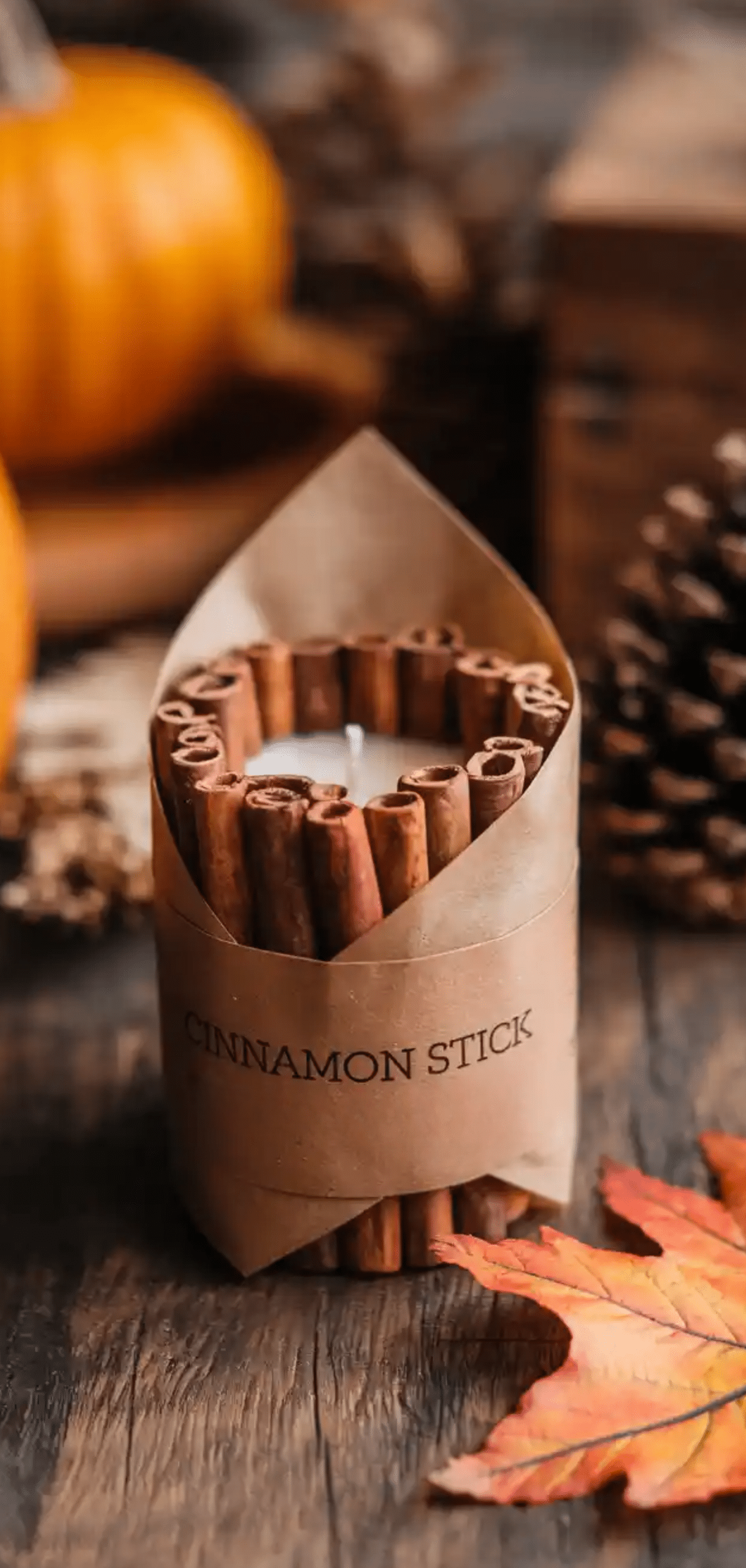 Cheap and Easy DIY Thanksgiving Decor Ideas