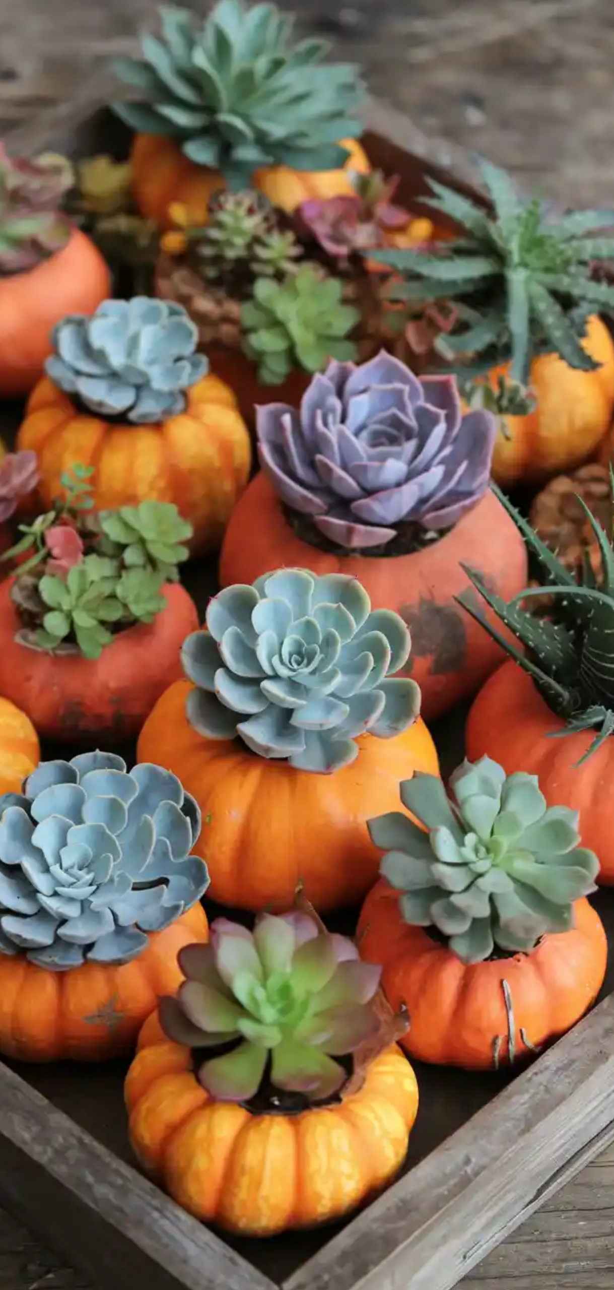 Centerpiece Fall Floral Arrangements