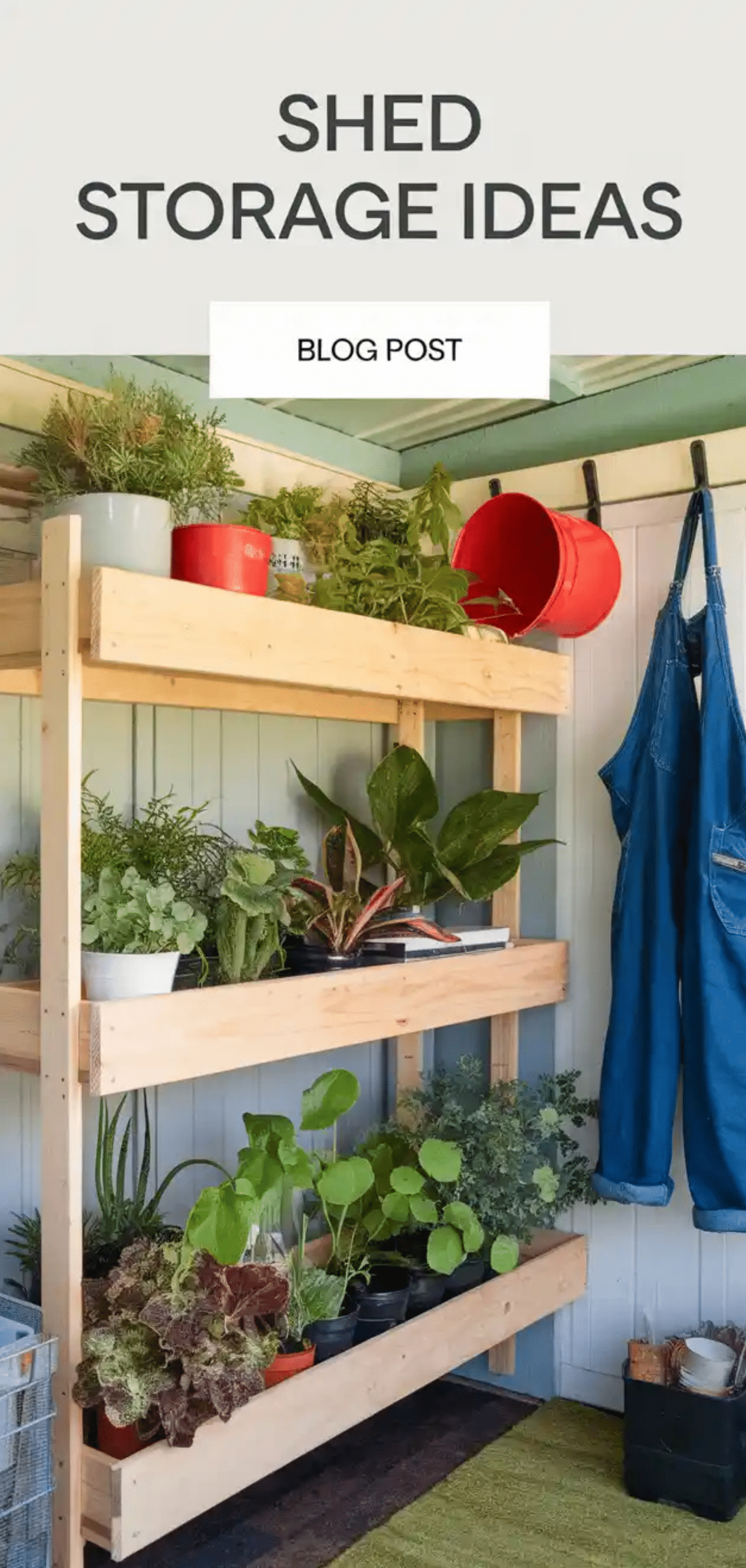 Perfect Shed Storage Ideas