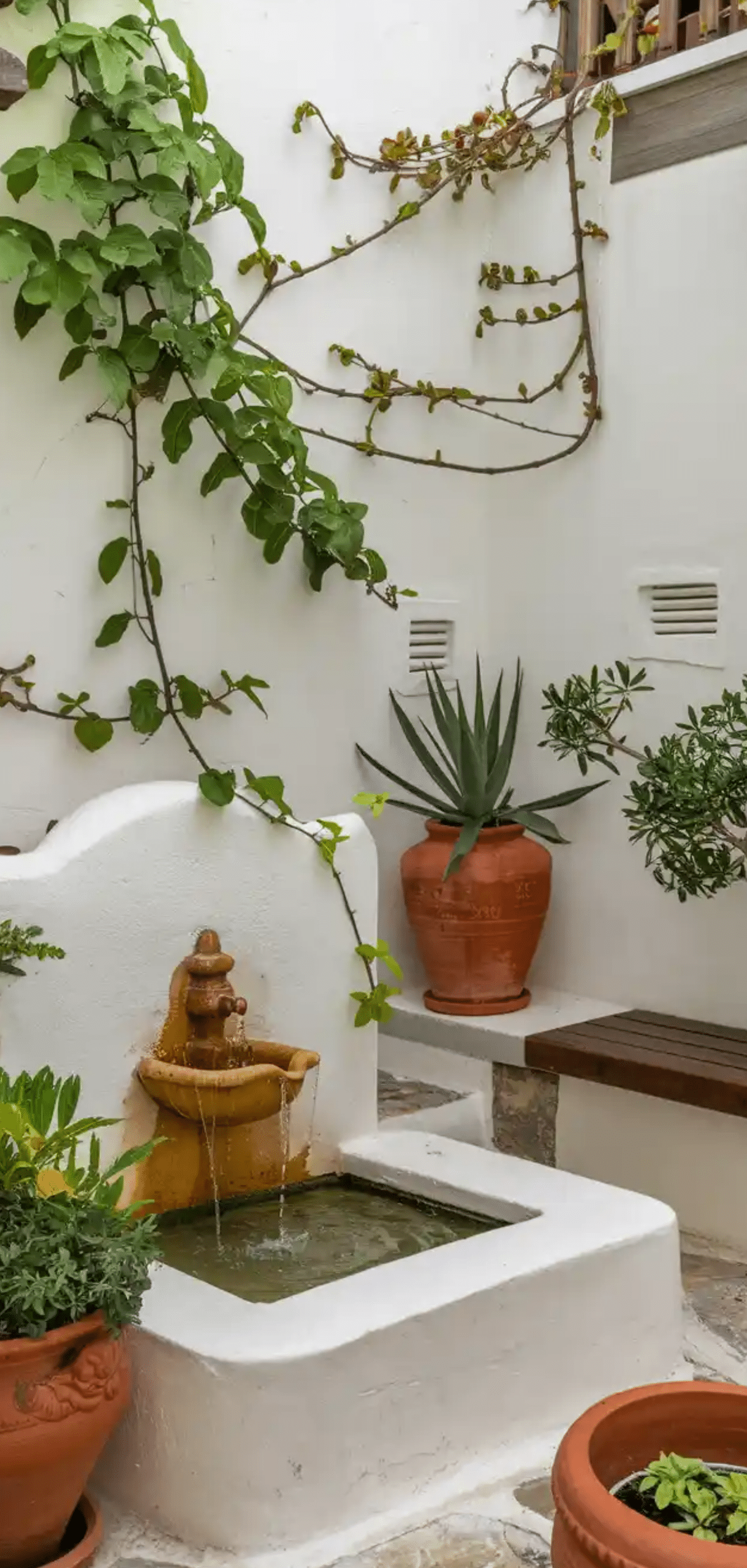 Courtyard Garden Ideas