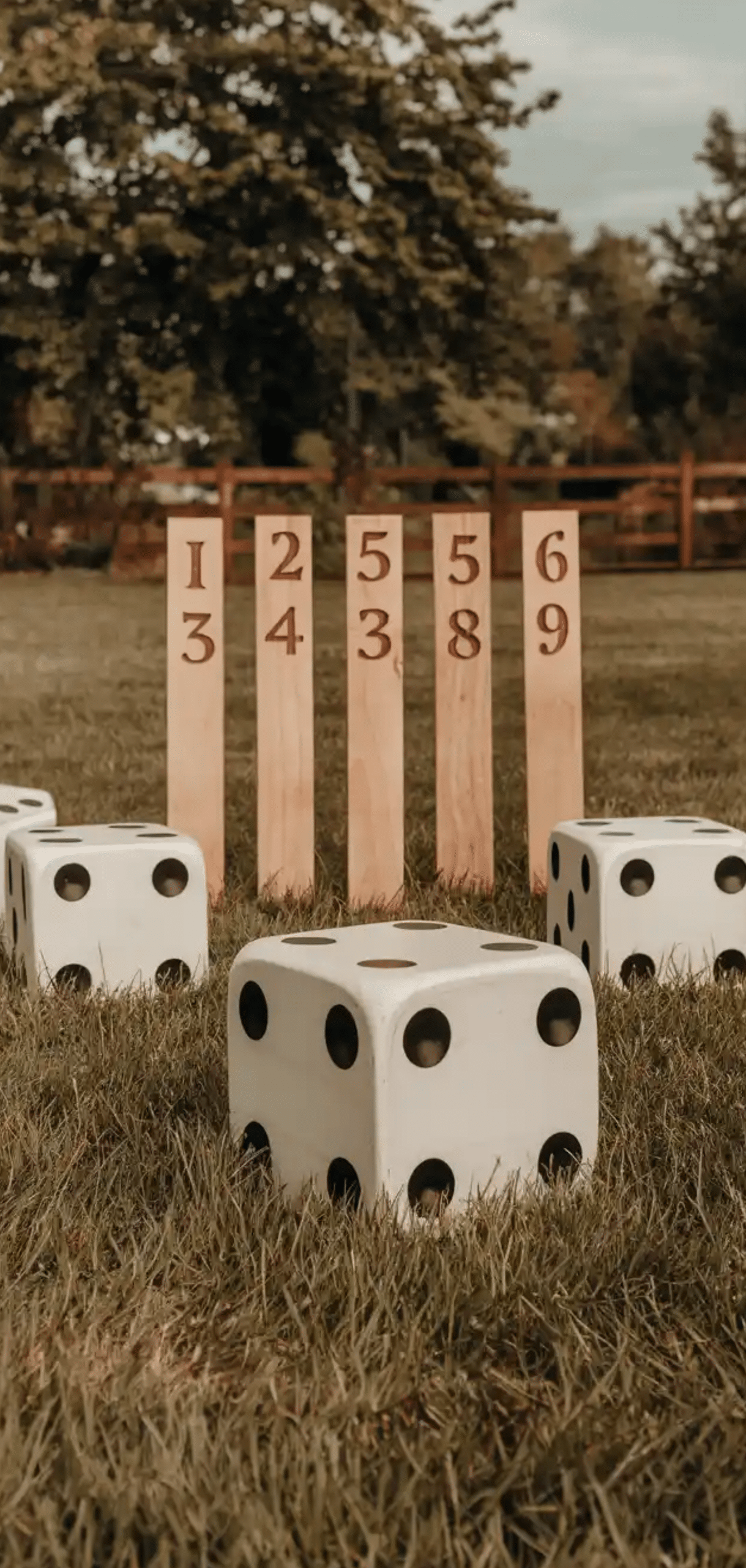 Backyard Games to DIY Right Now