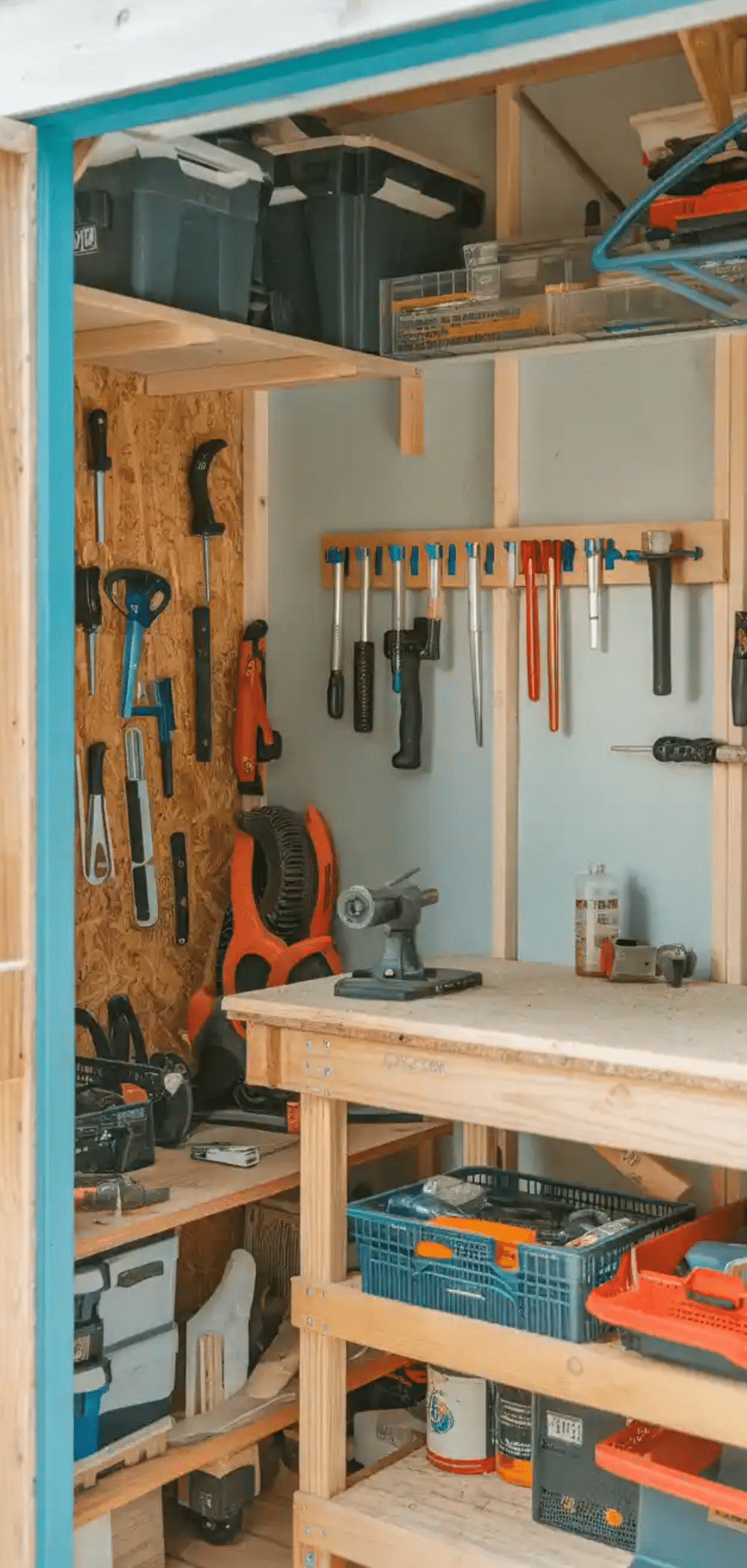 Brilliant DIY Shed Organization