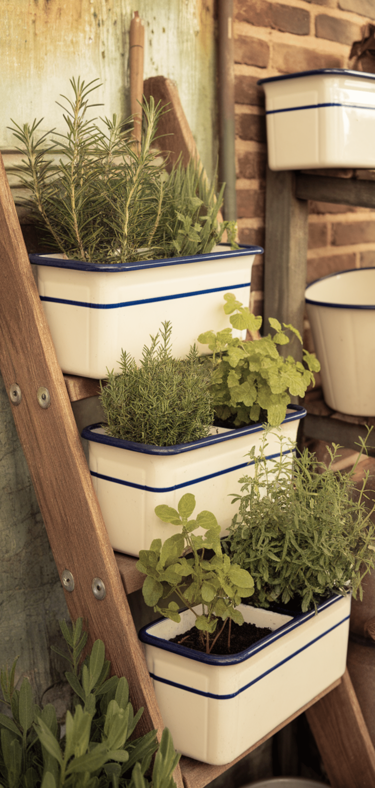 Inspiring Vintage Garden Projects