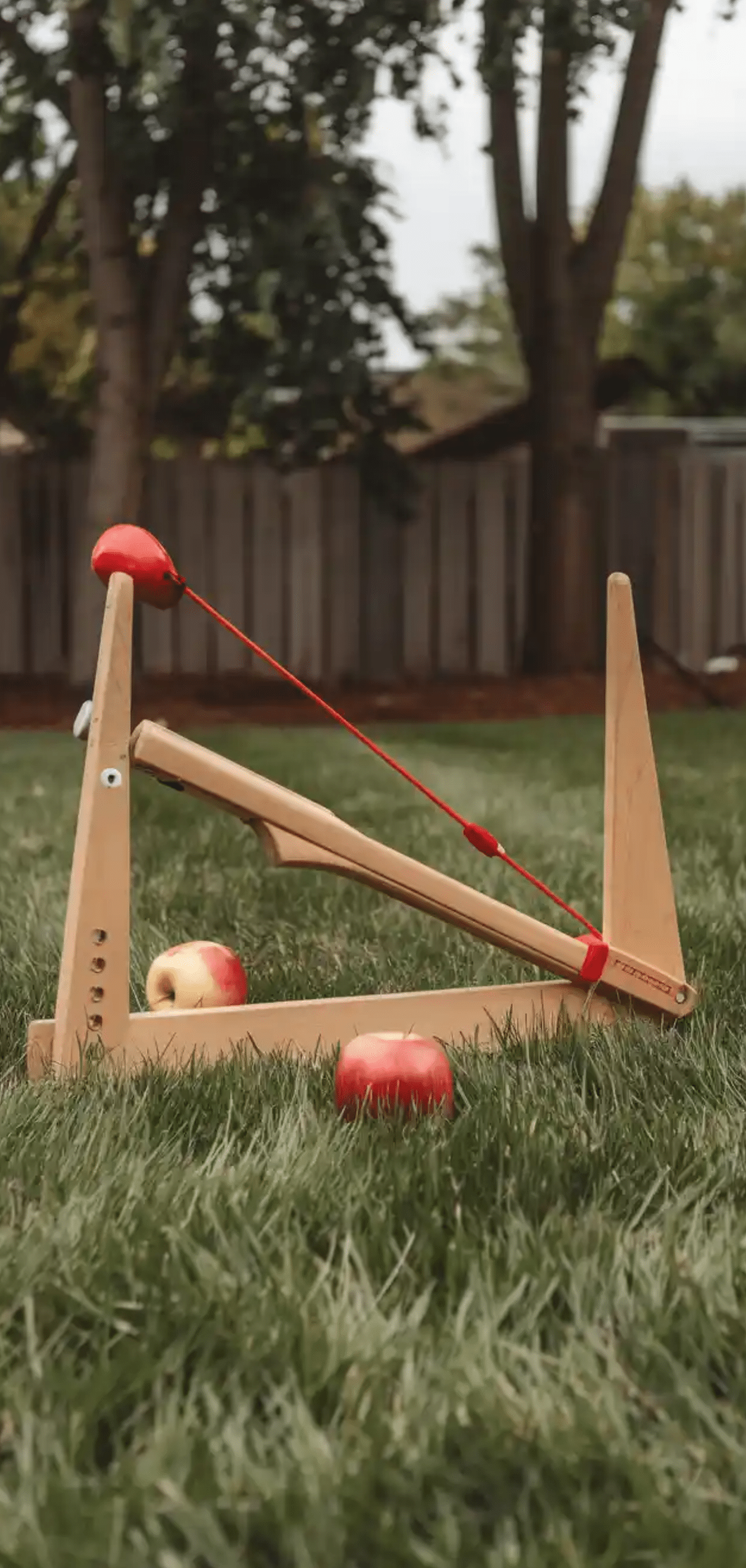 Backyard Games to DIY Right Now