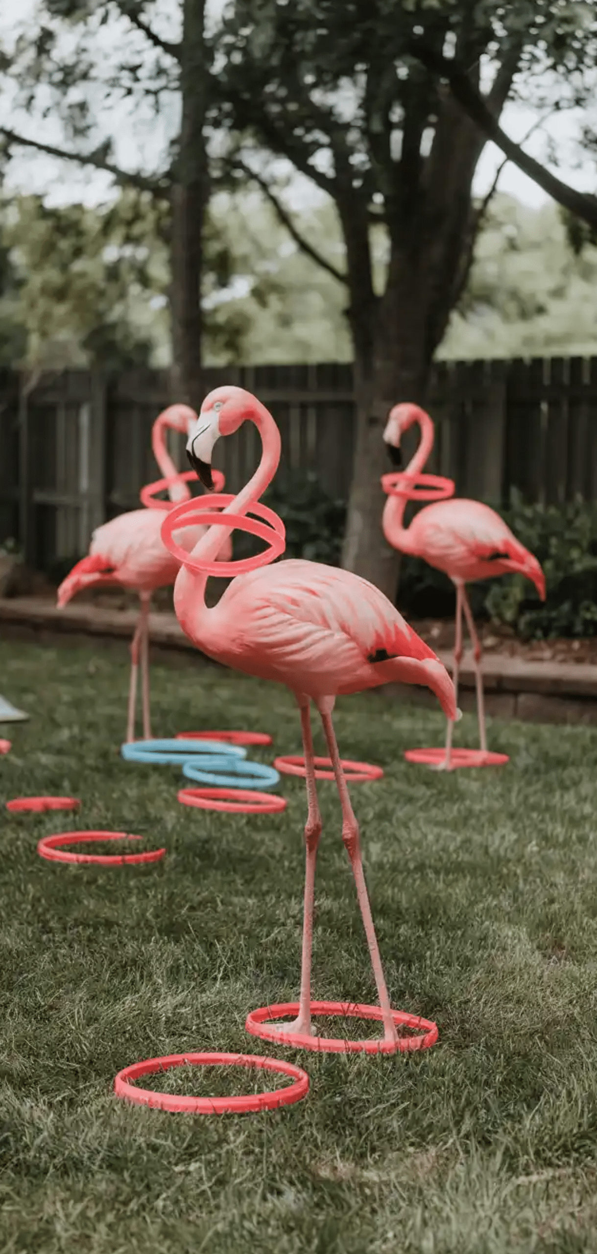 Backyard Games to DIY Right Now