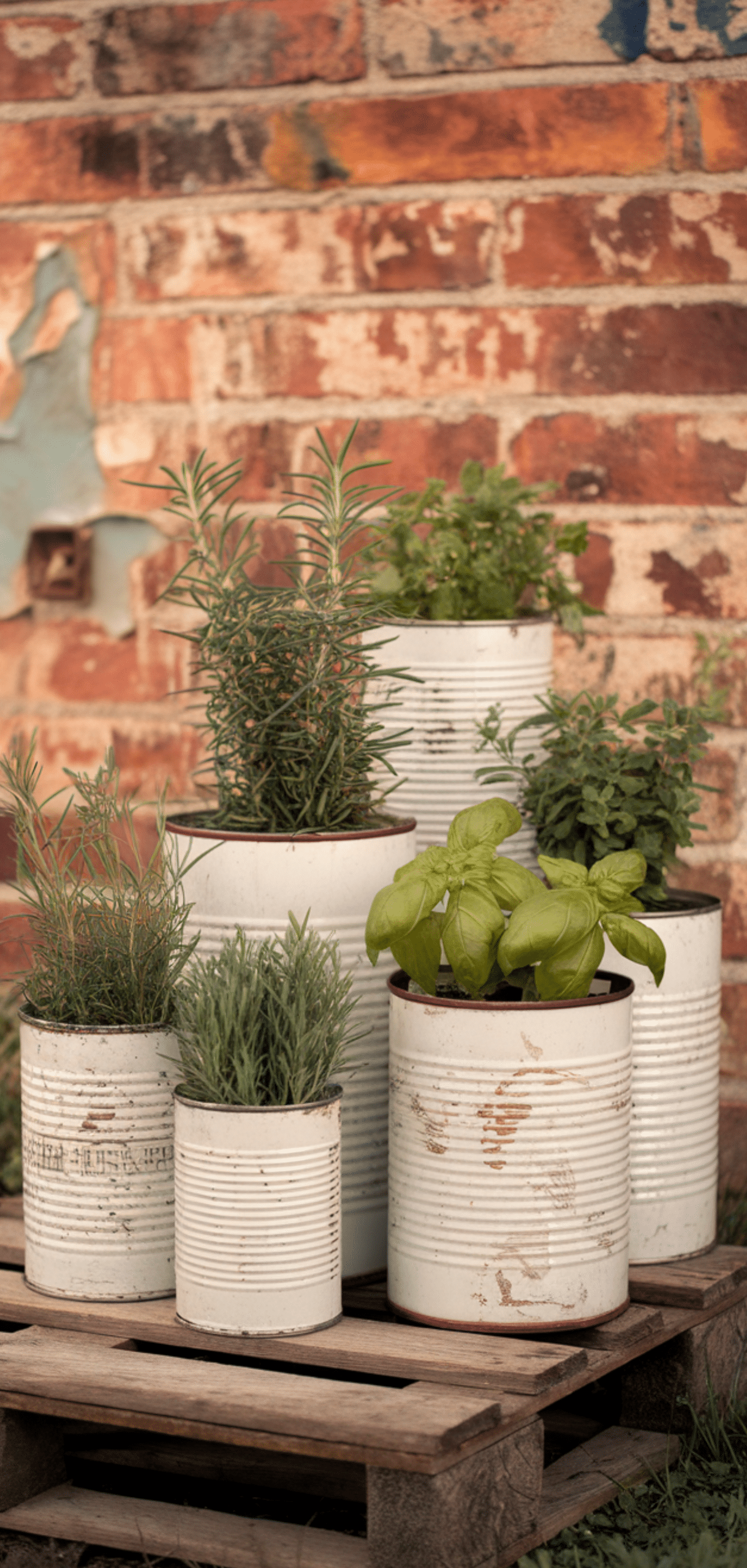 Inspiring Vintage Garden Projects