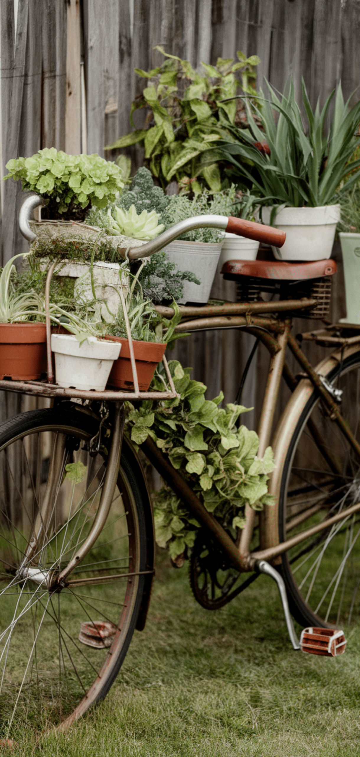 Inspiring Vintage Garden Projects