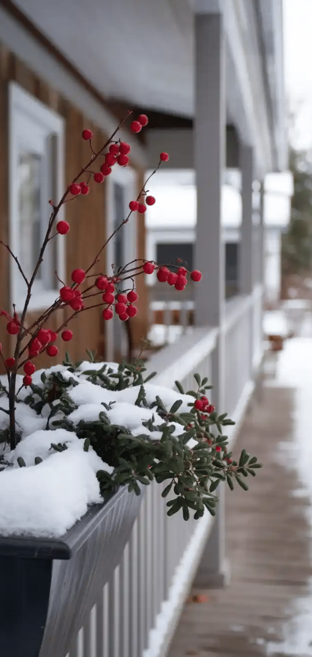 Charming Winter Planter For Front Porch