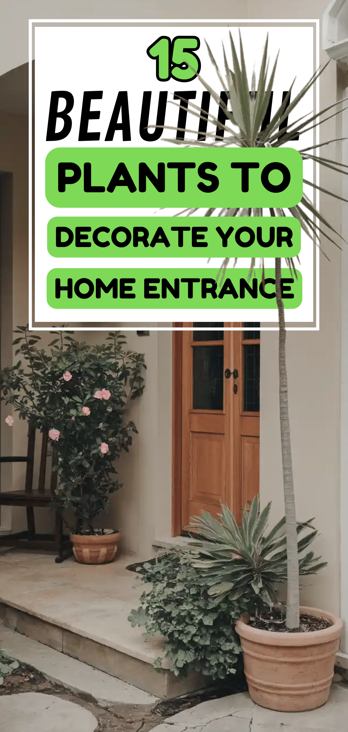 Beautiful Plants to Decorate your Home Entrance