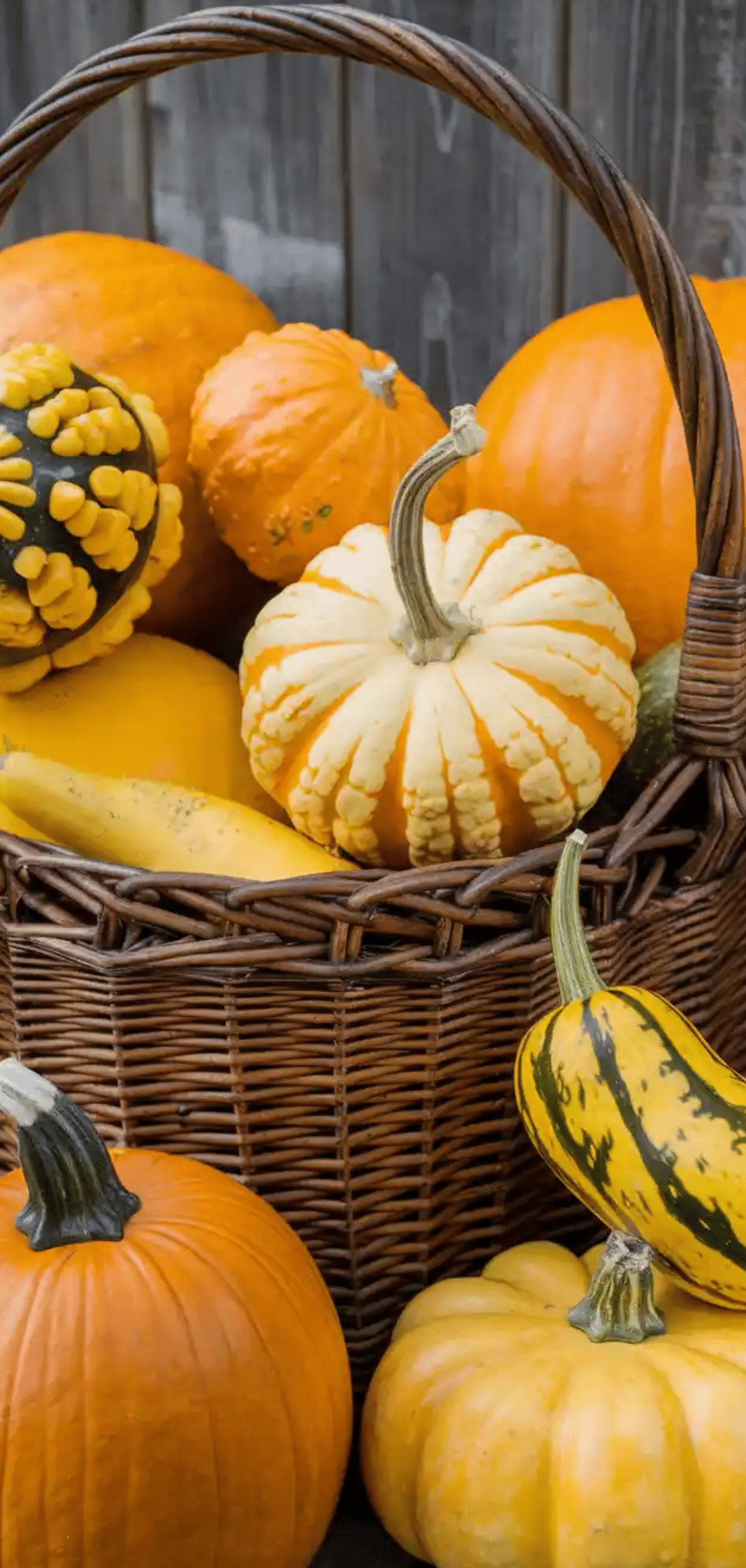 Charming Fall Basket Ideas