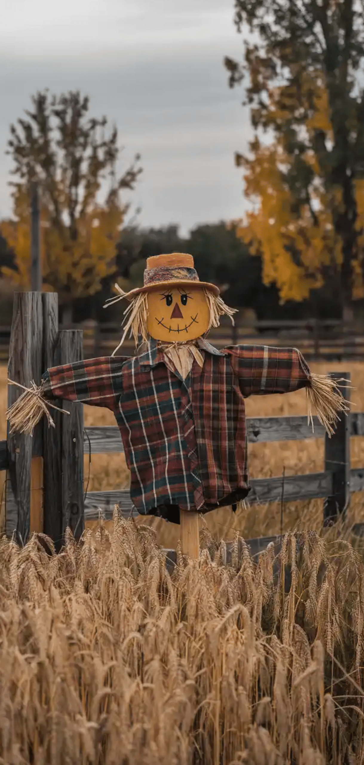 Wooden Scarecrows for Fall Decor