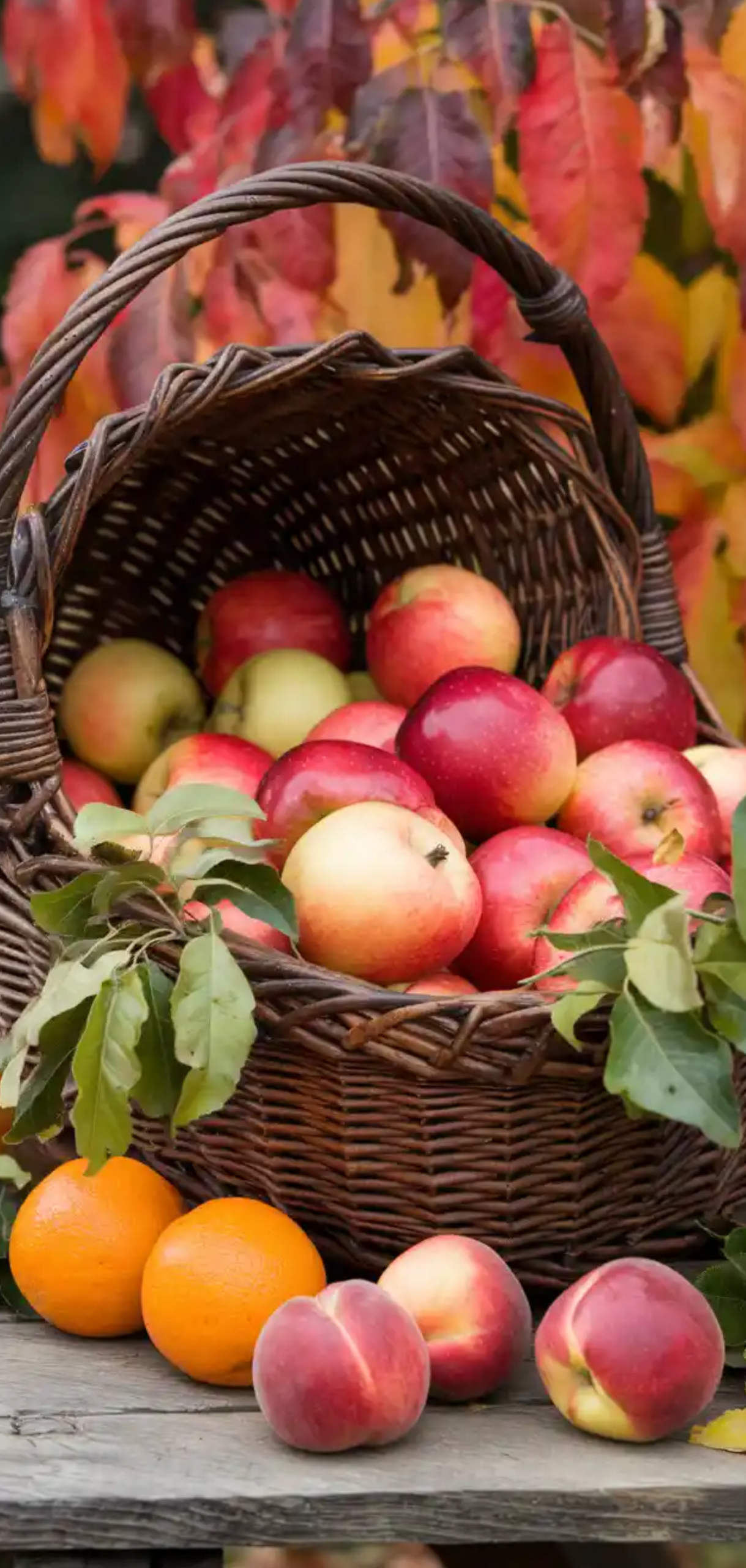 Charming Fall Basket Ideas