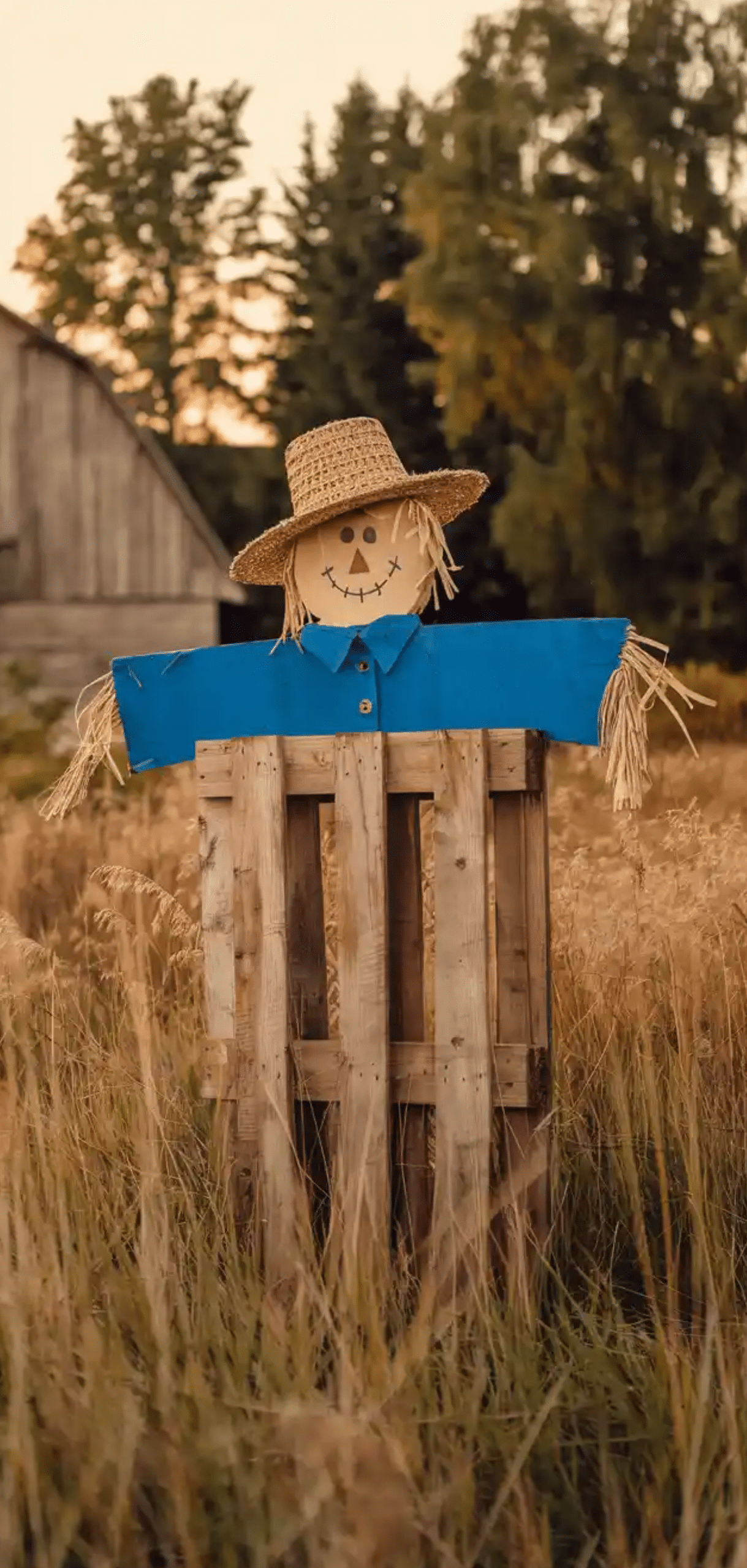 Wooden Scarecrows for Fall Decor