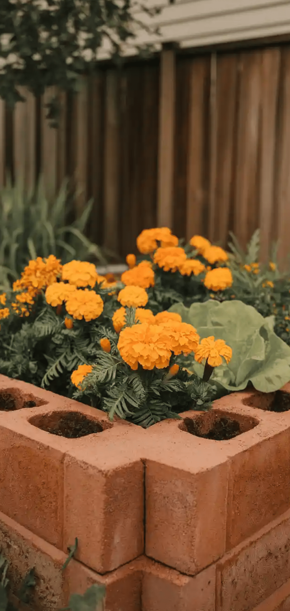 Creative Cinder Block Garden Bed Ideas