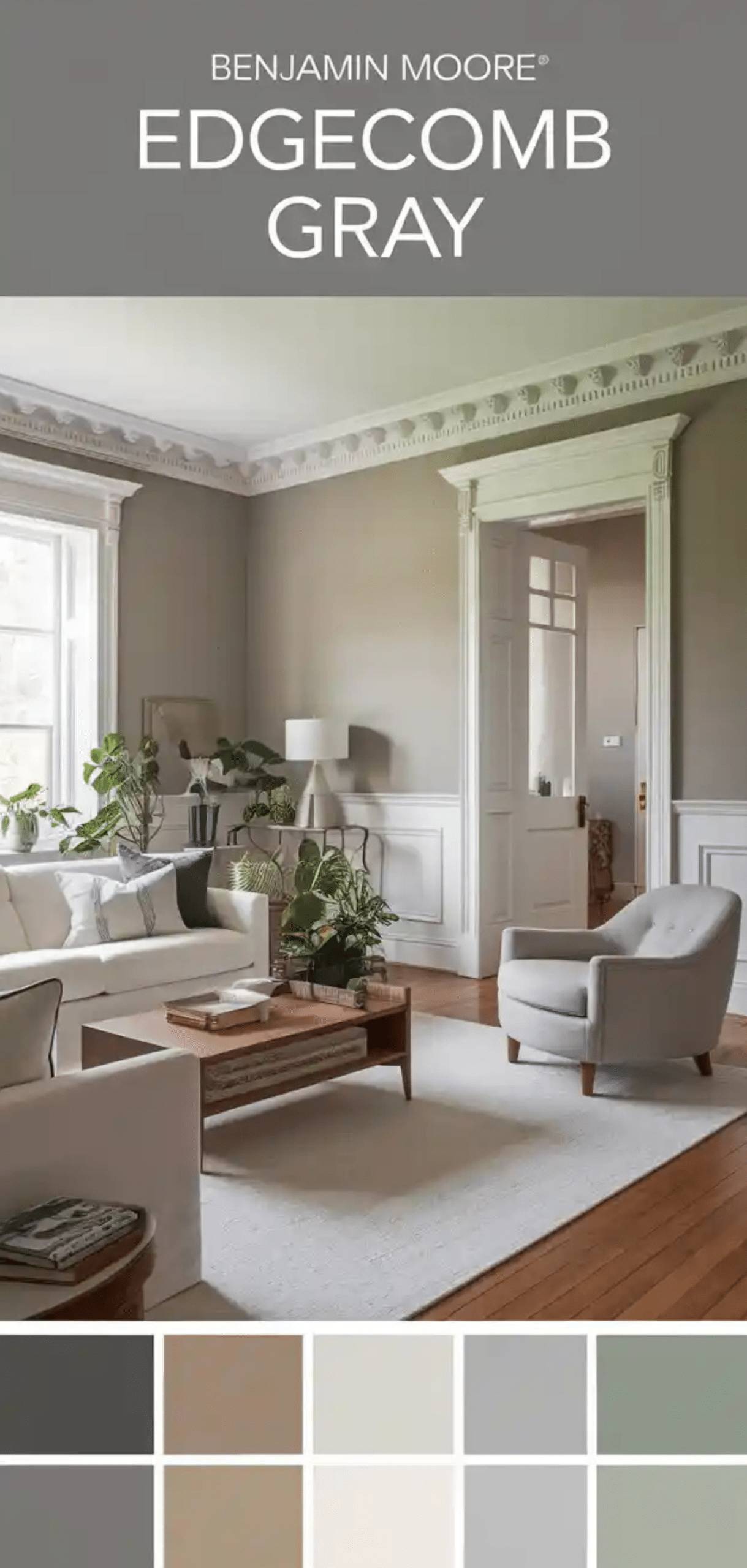 Best Greige Paint Colors