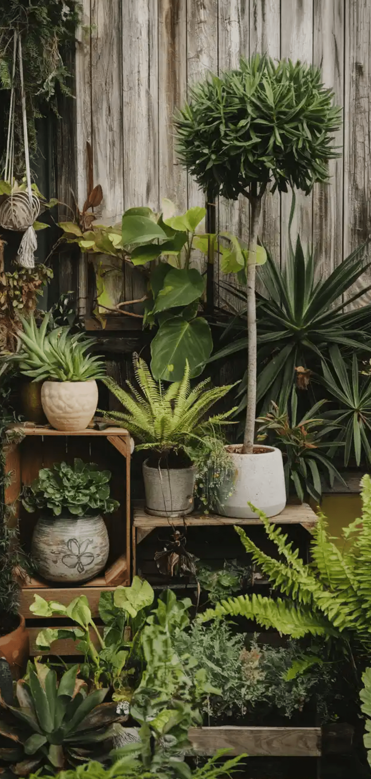 Bohemian Garden Ideas