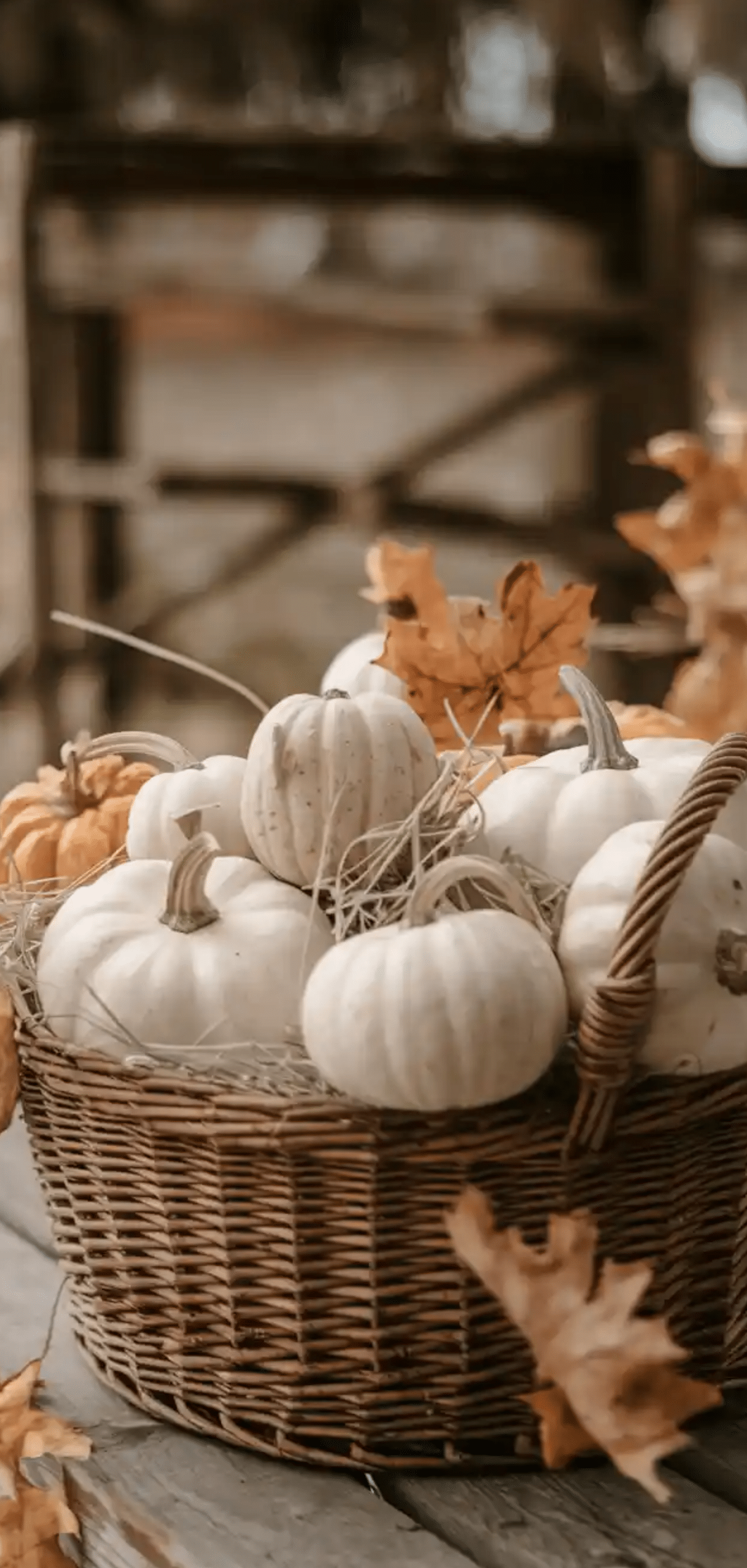 Charming Fall Basket Ideas