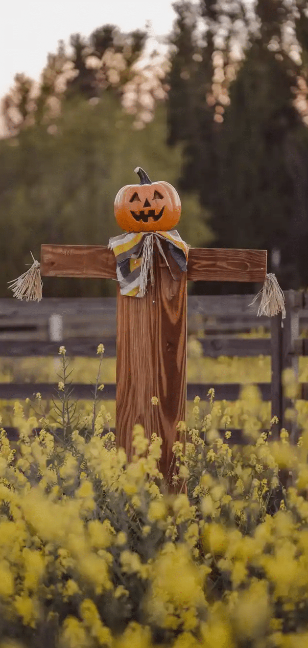 Wooden Scarecrows for Fall Decor