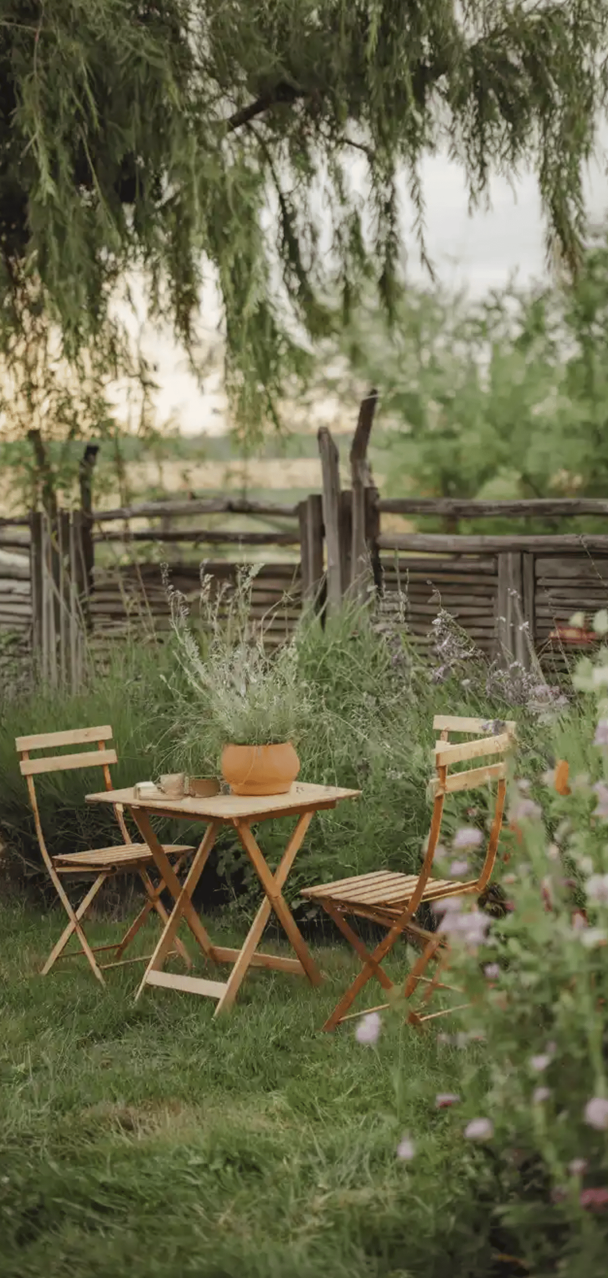 Bohemian Garden Ideas