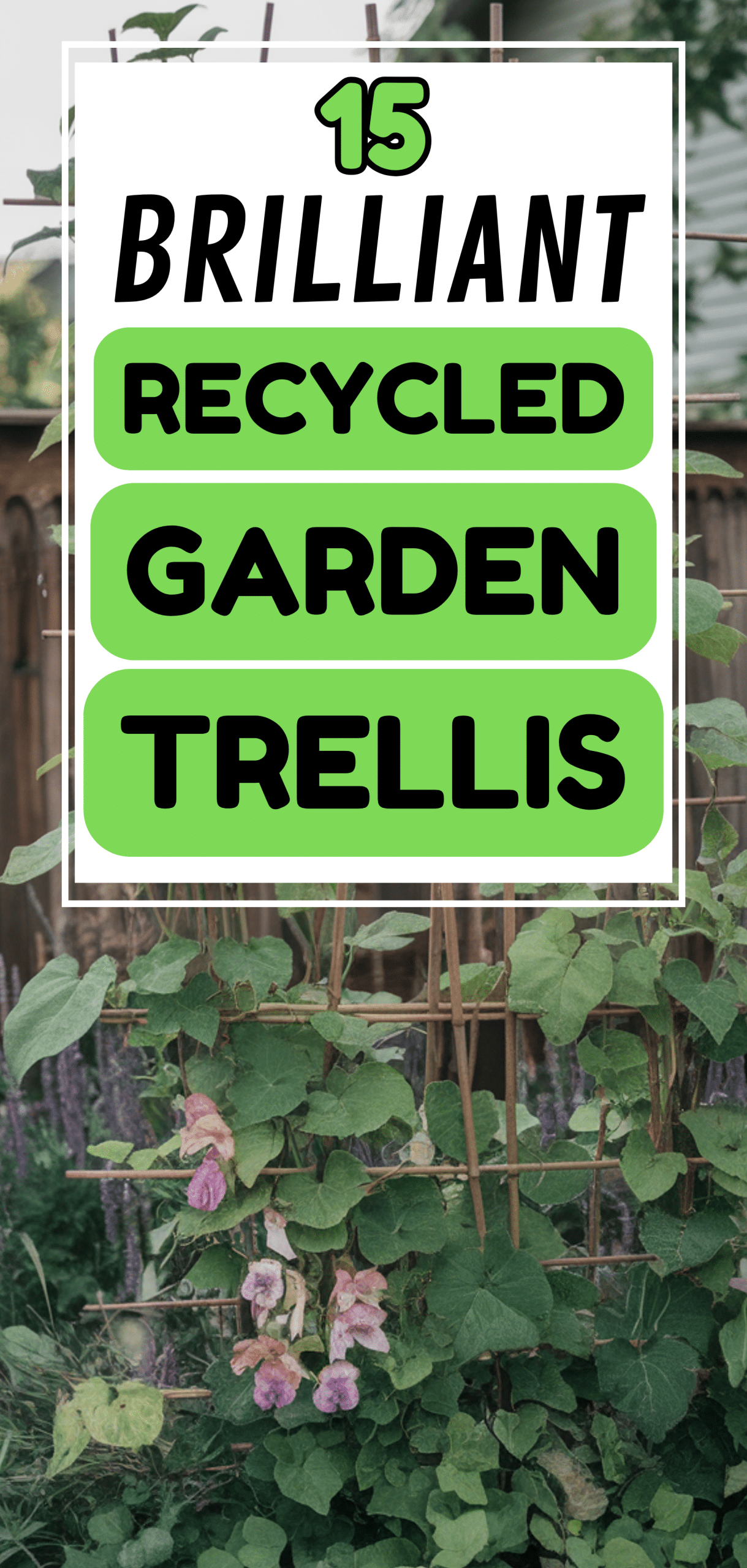 Brilliant Recycled Garden Trellis Ideas