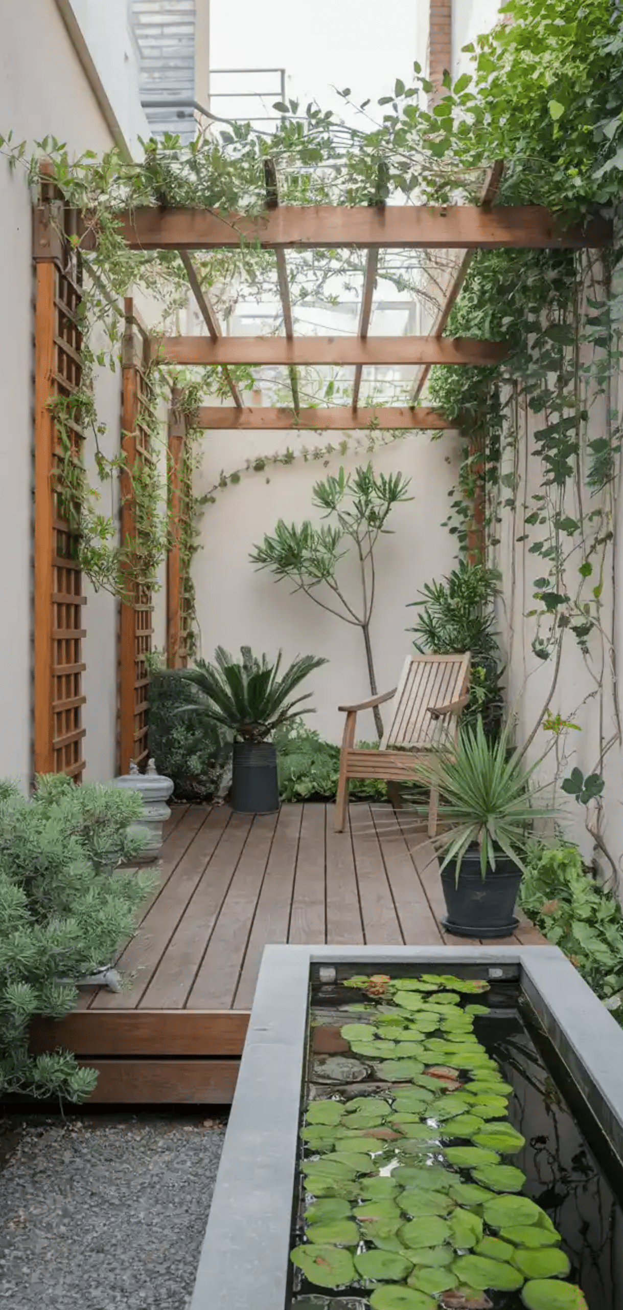 Courtyard Garden Ideas