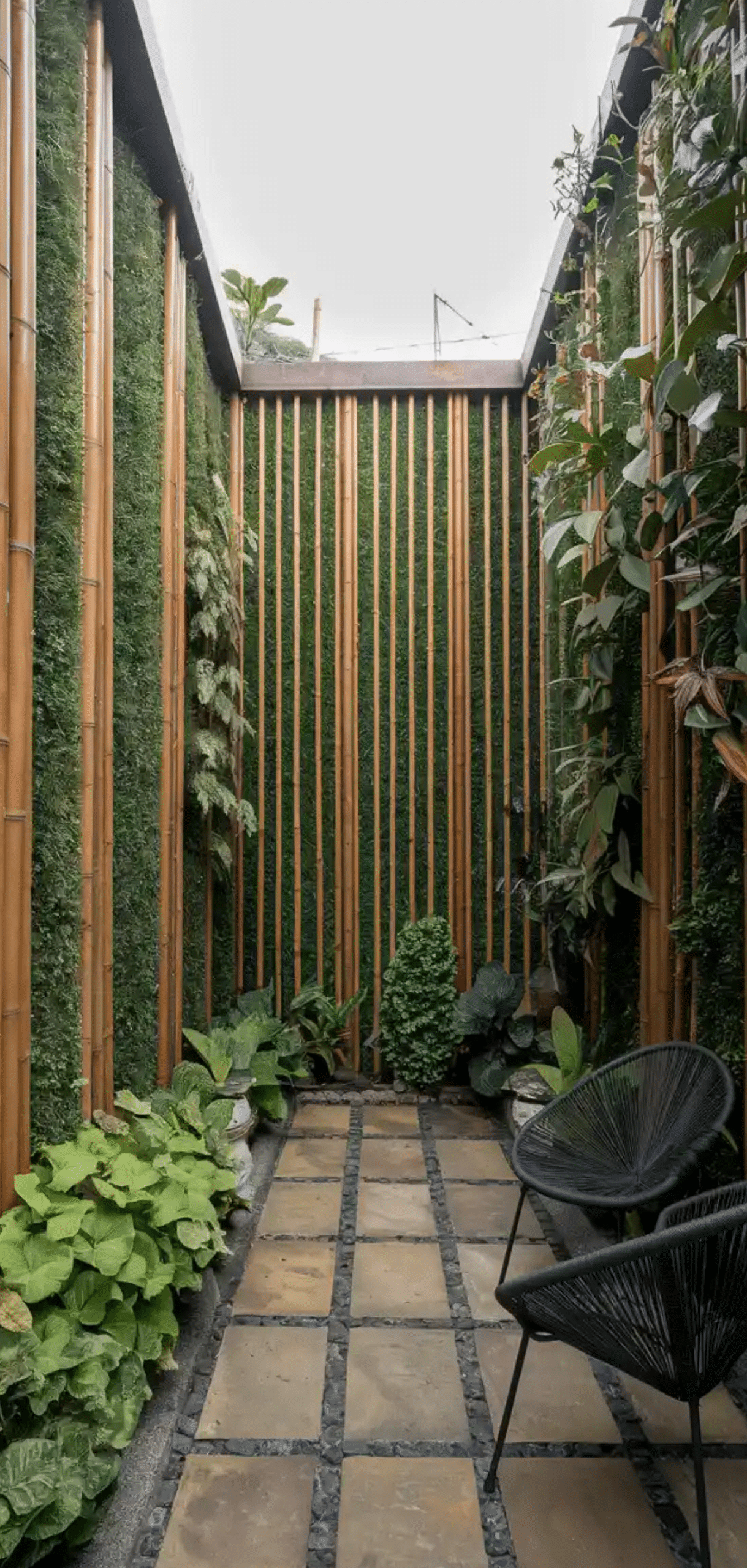 Courtyard Garden Ideas