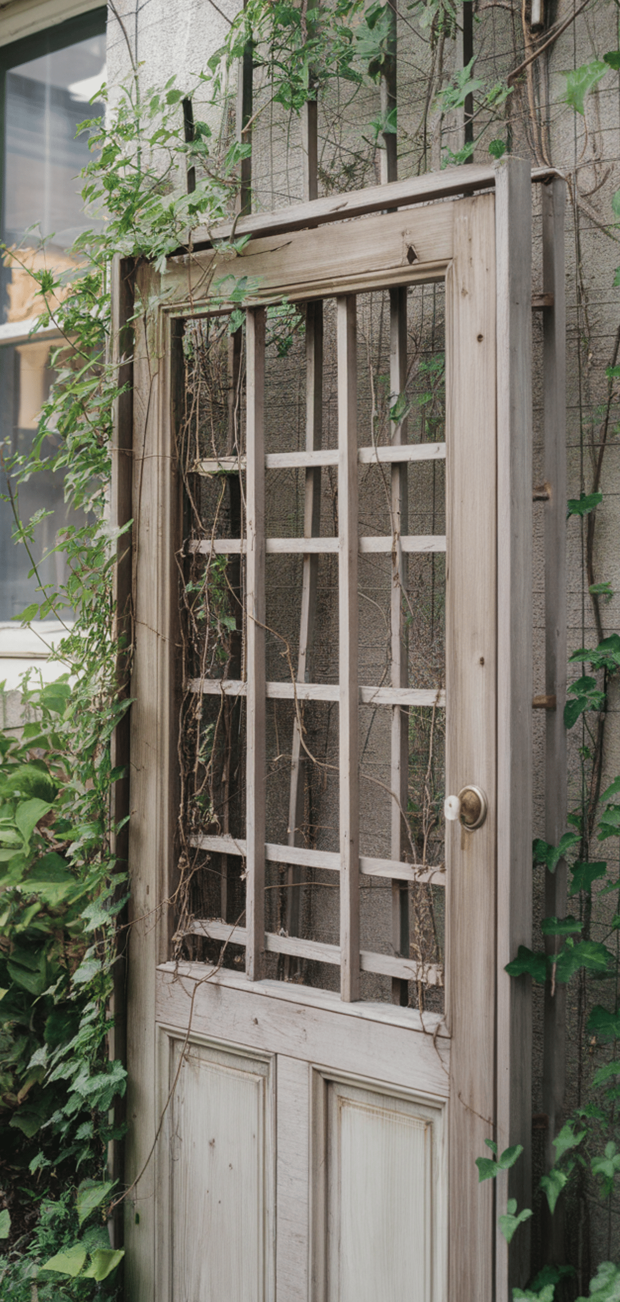 Brilliant Recycled Garden Trellis Ideas