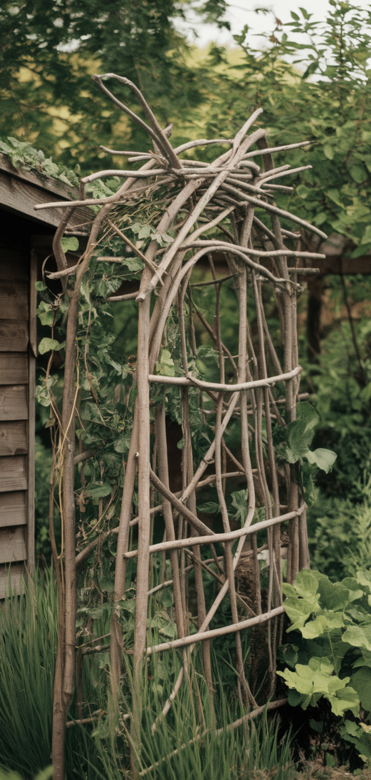 Brilliant Recycled Garden Trellis Ideas