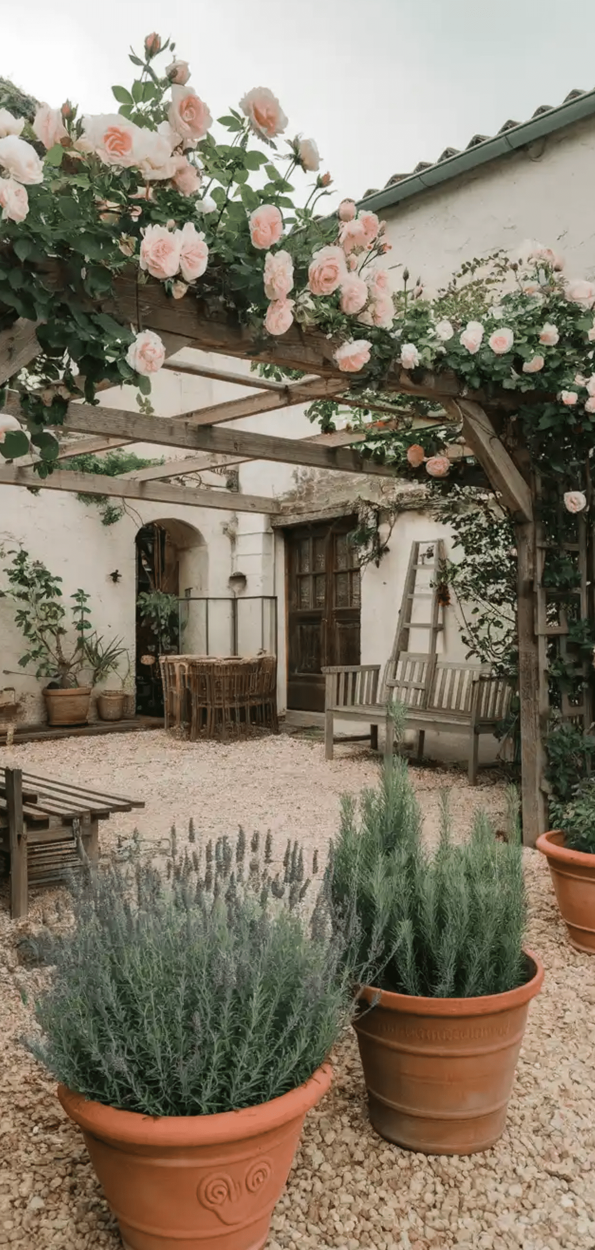 Courtyard Garden Ideas