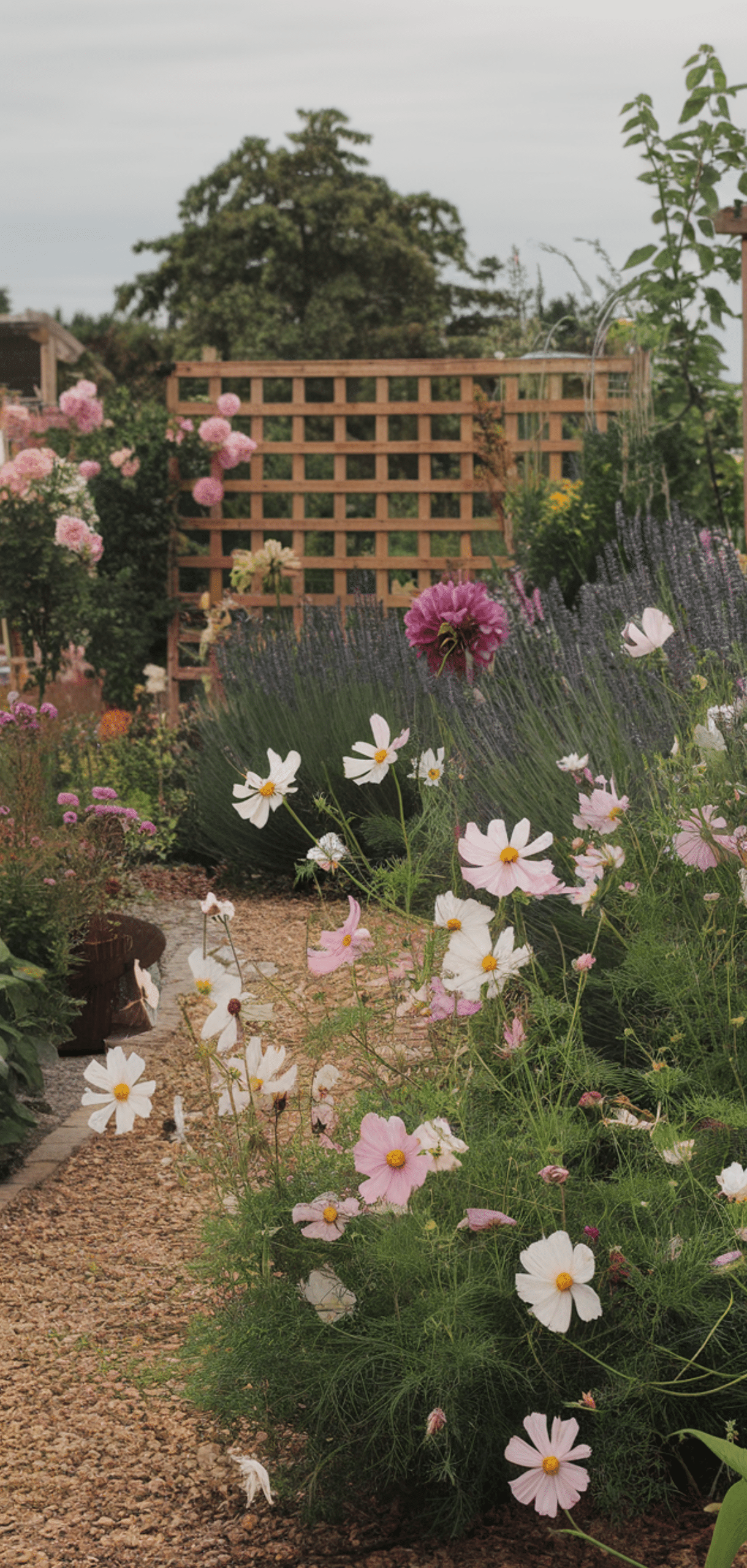 Easy Cottage Garden Flowers Ideas