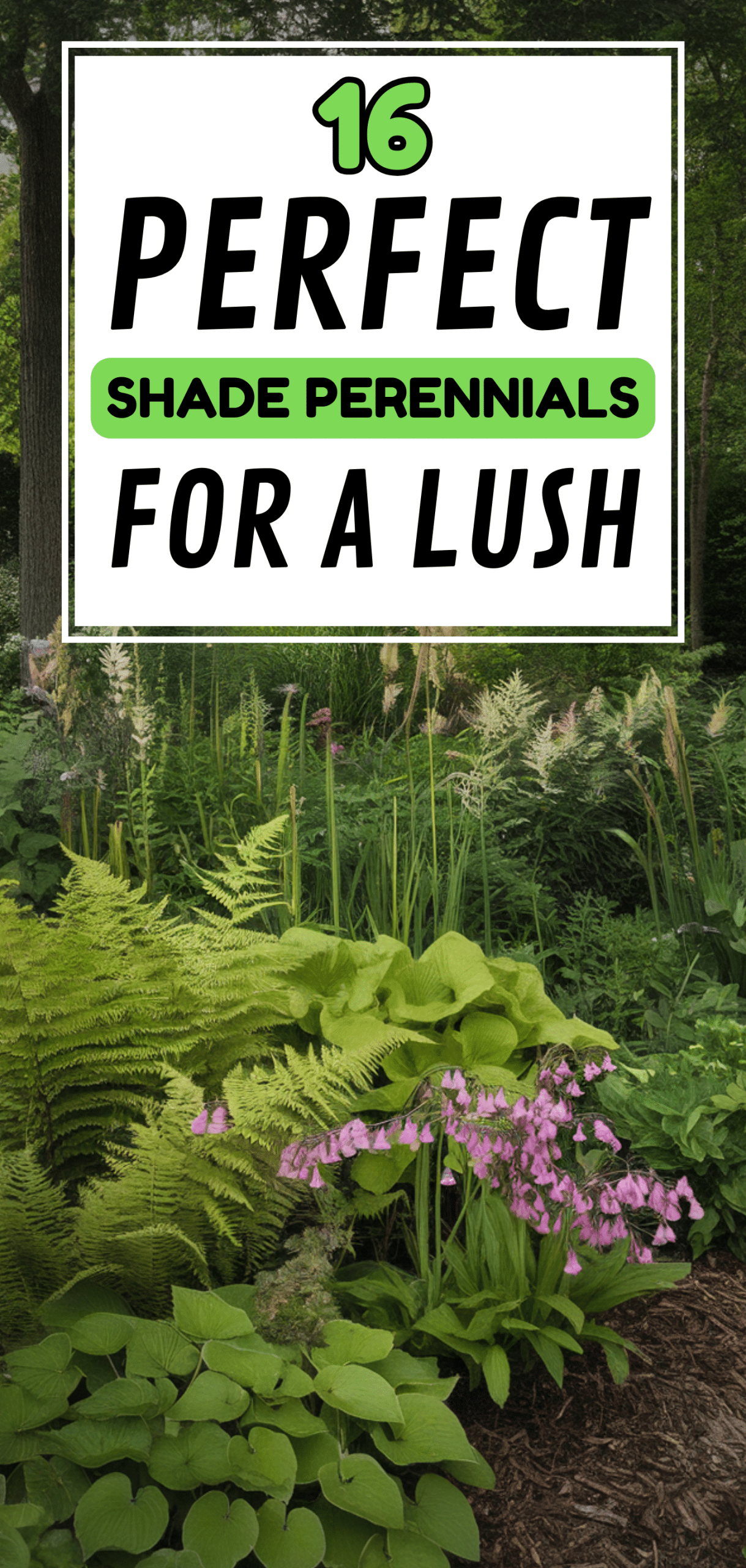 Perfect Shade Perennials for a Lush