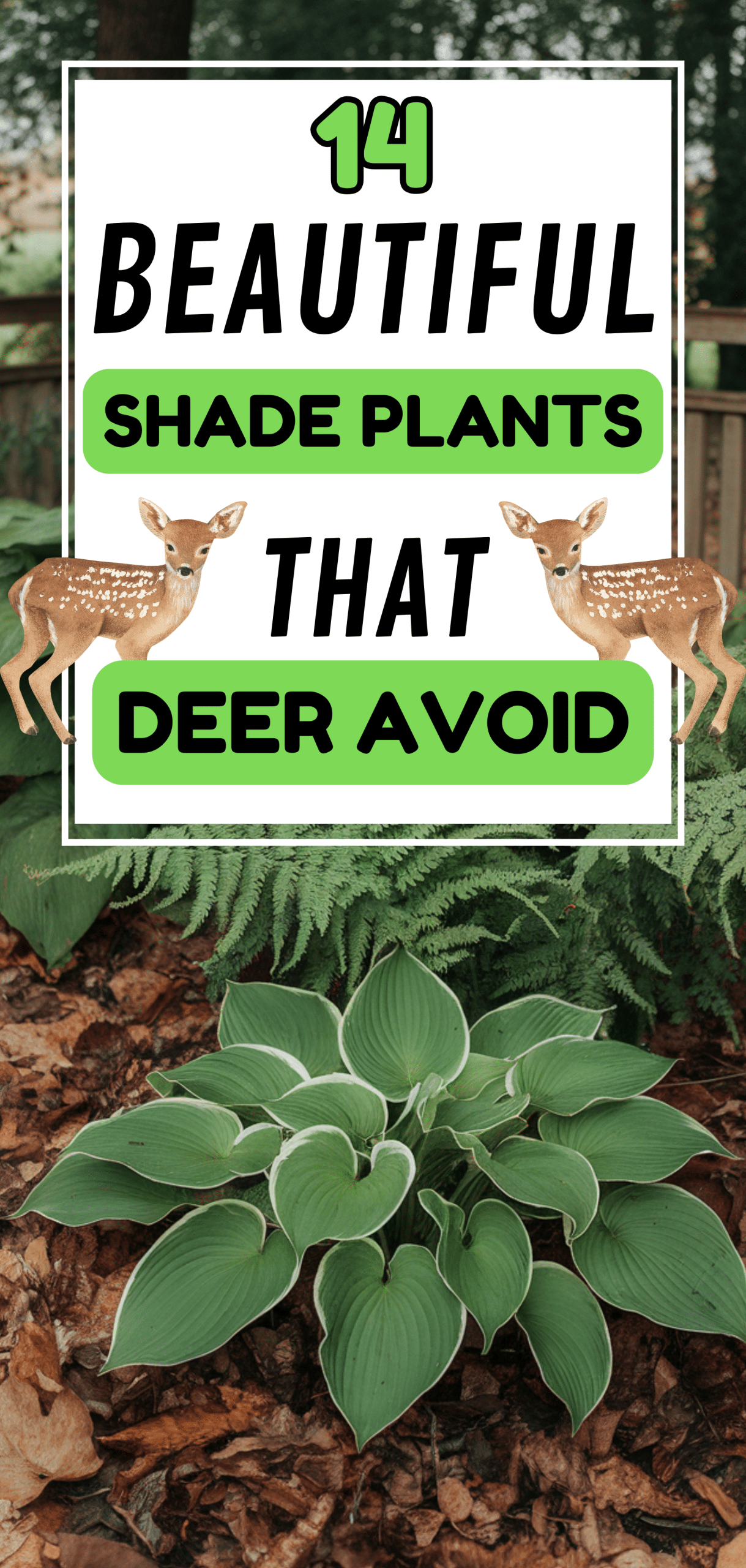 Beautiful Shade Plants That Deer Avoid