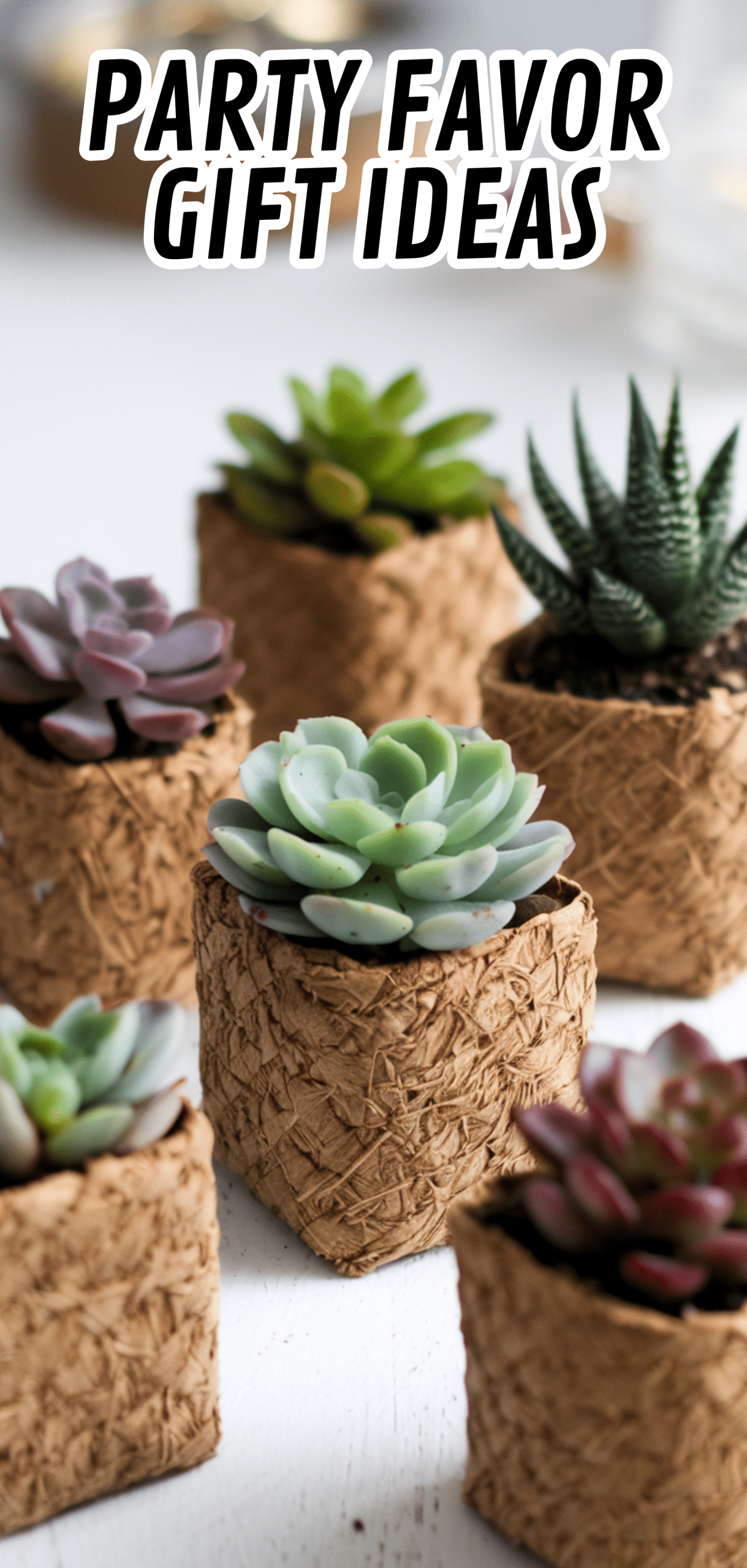 17 Party Favor Gift Ideas