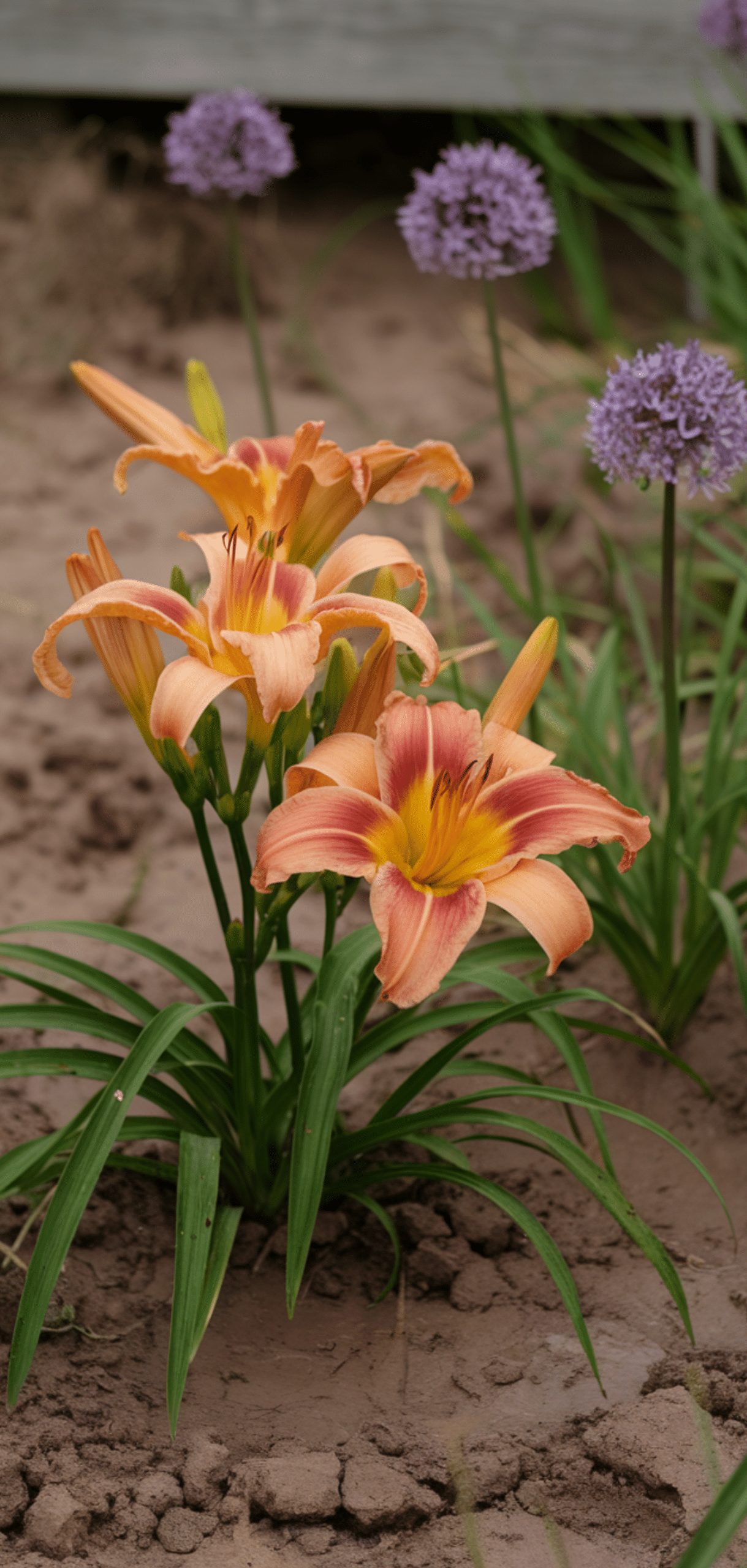 Best Plants for Clay Soil With Poor Drainage